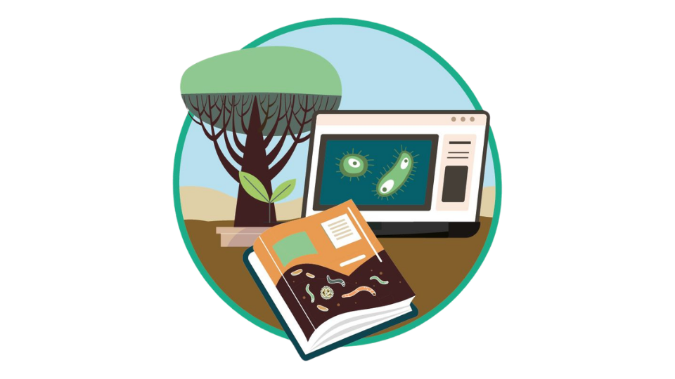 Youth, Women and Land Tenure Brief