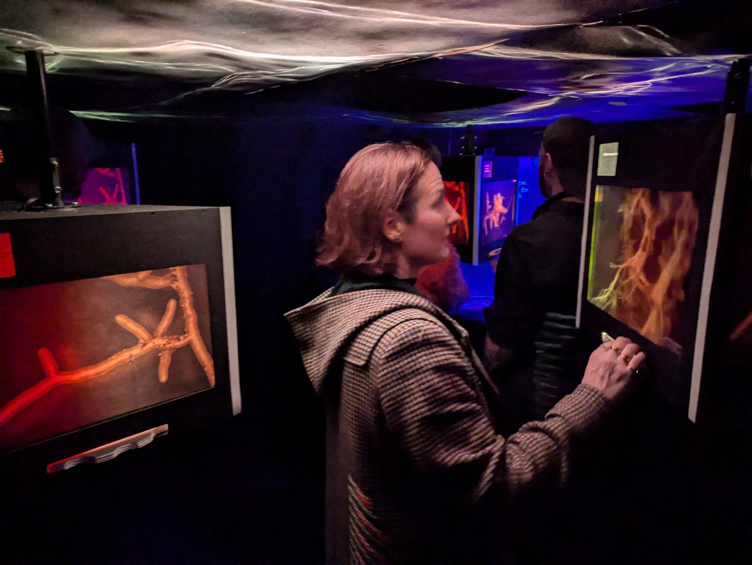 (un)common threads - four light boxes - credit poppy flint.jpg