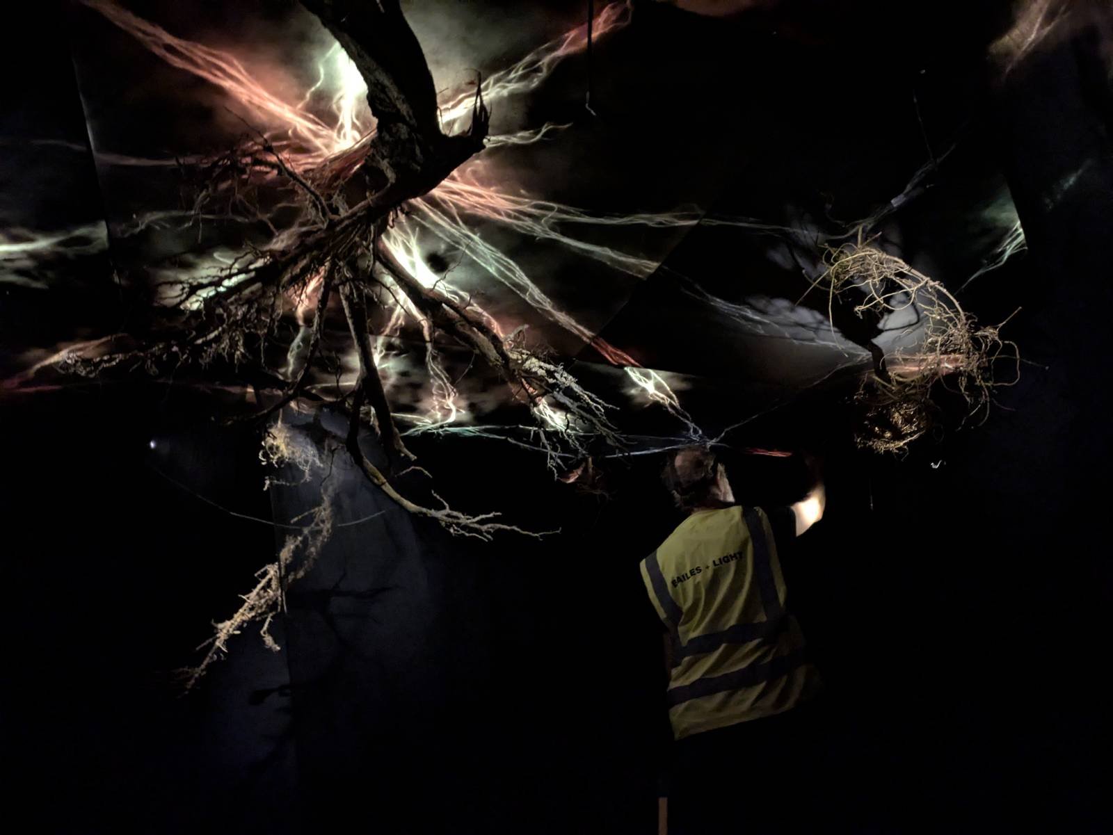 recent work - the rhizosphere - June 25.jpeg