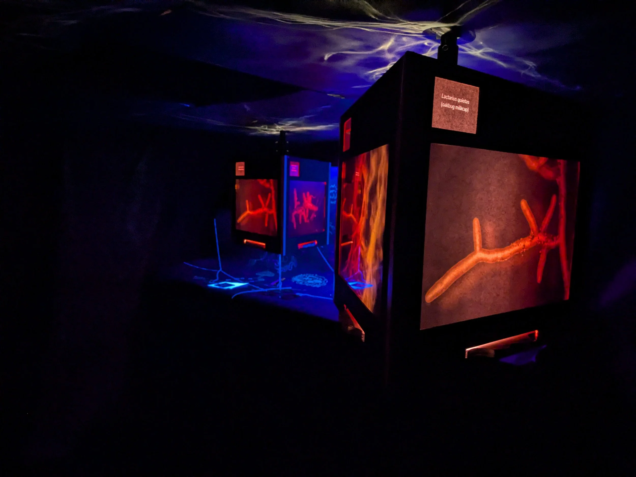 (un)common threads - red setting - credit poppy flint.jpg