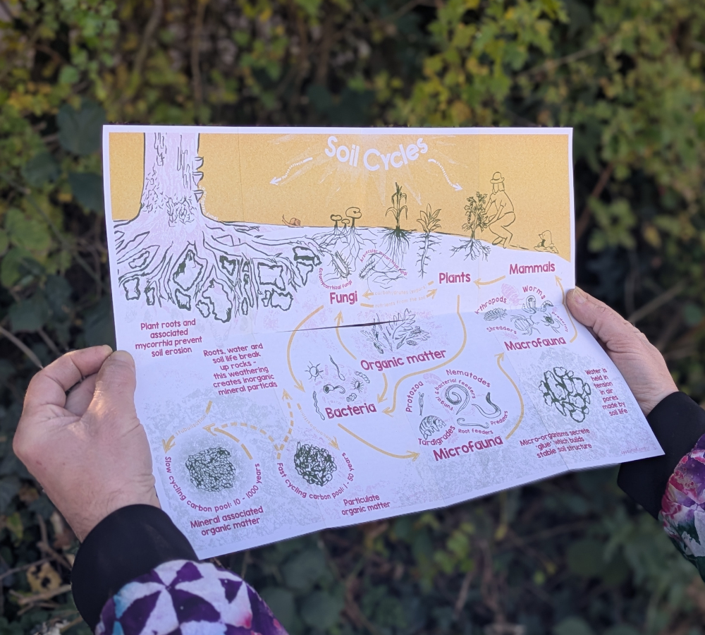 Untitled design(6).png