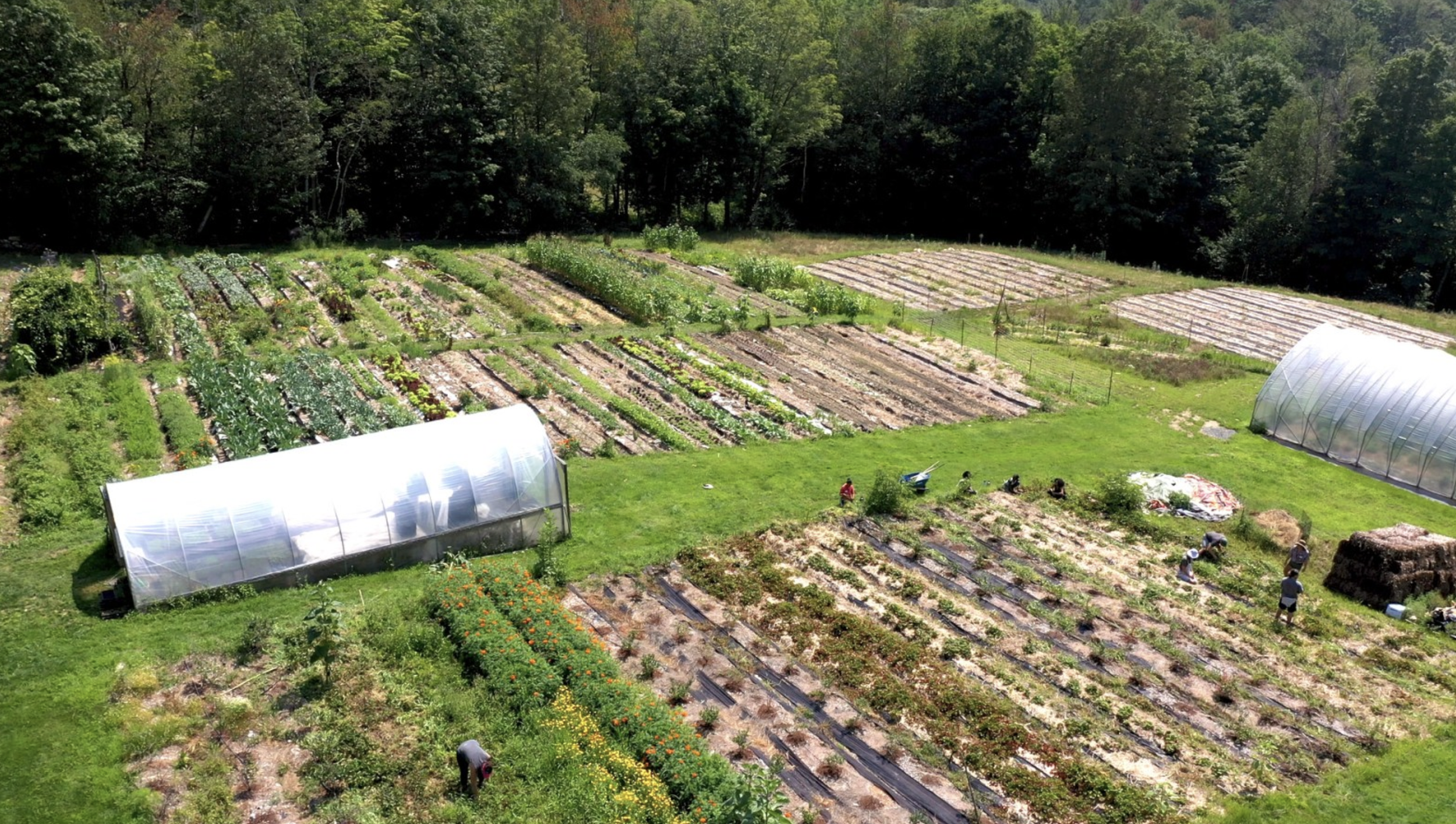 CGRedux_farm background 4.png