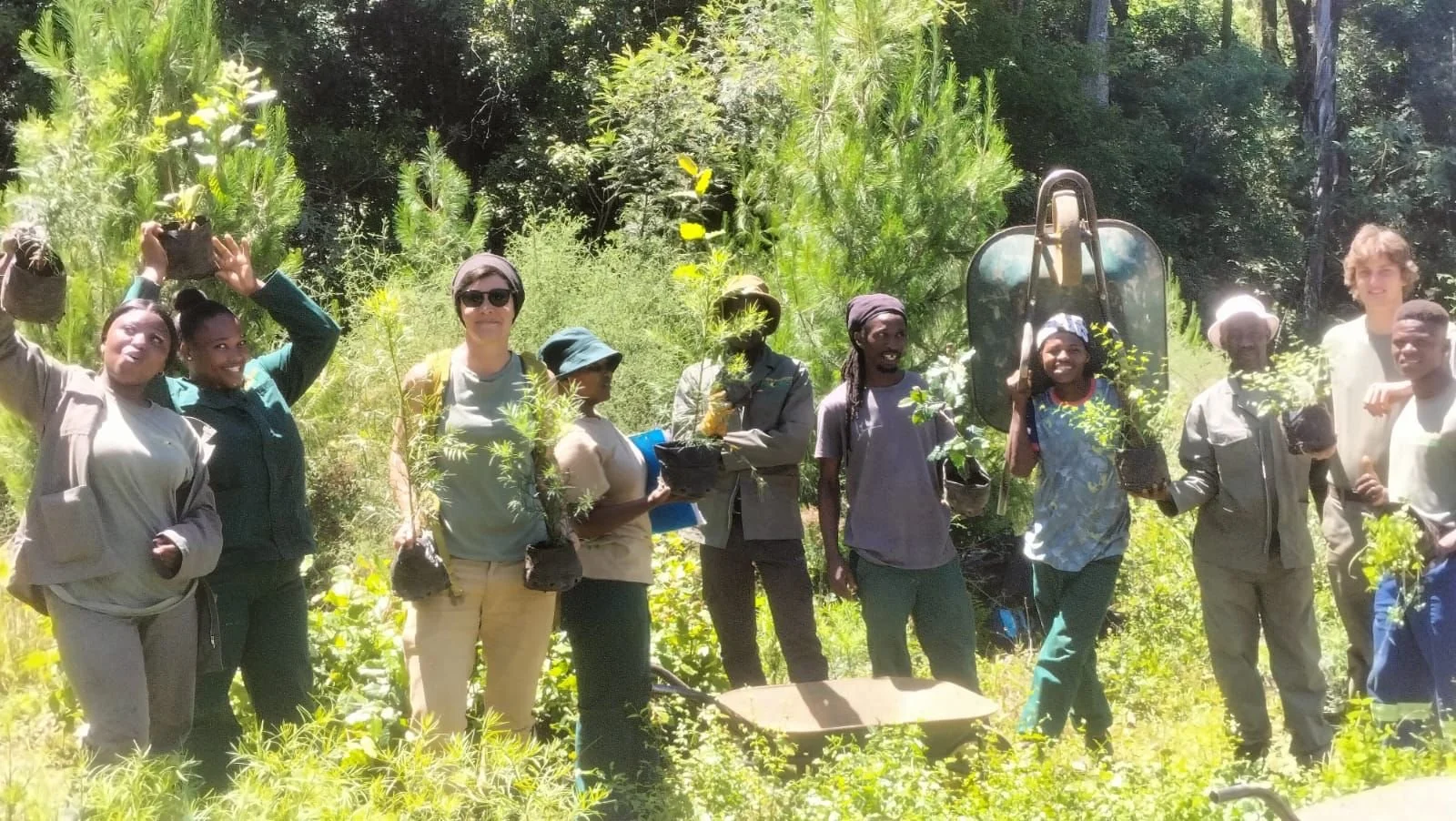 WhatsApp Image 2025-12-12 at 13.10.11.jpeg