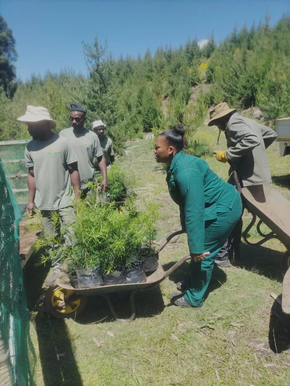 WhatsApp Image 2025-12-12 at 13.10.13.jpeg