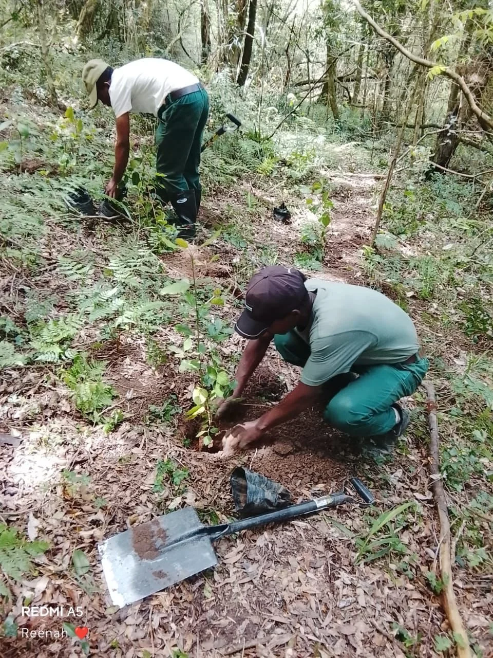 WhatsApp Image 2025-12-12 at 13.10.14.jpeg