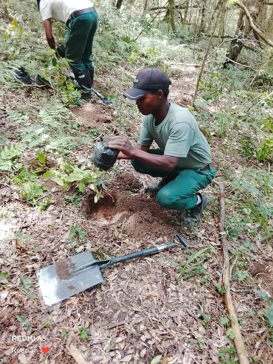 WhatsApp Image 2025-12-12 at 13.10.15.jpeg