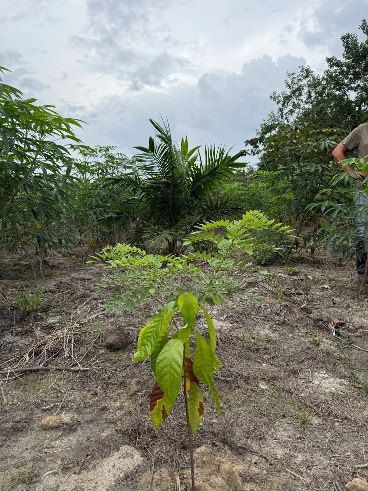 WhatsApp Image 2026-02-25 at 19.42.01.jpeg