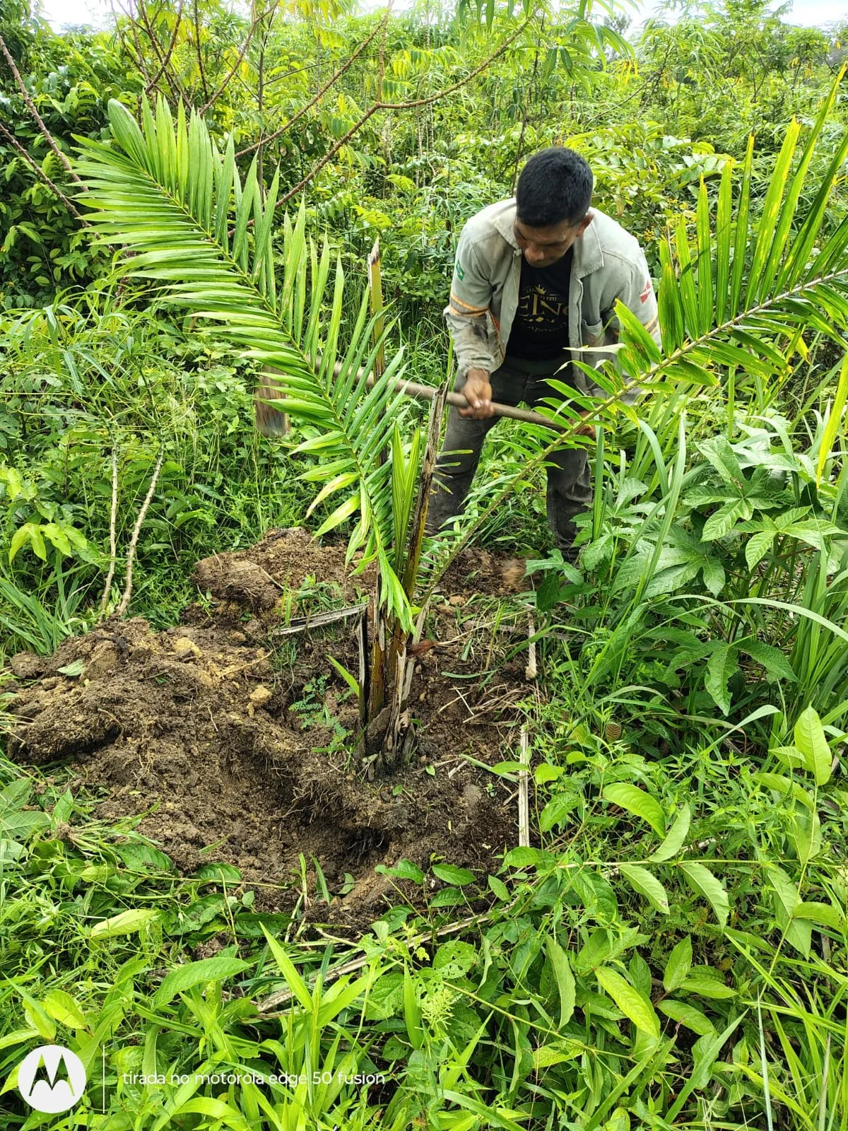 WhatsApp Image 2026-03-05 at 10.36.45.jpeg