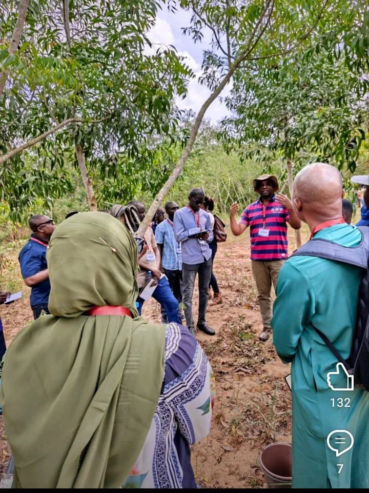 WhatsApp Image 2026-03-31 at 12.13.38 PM.jpeg