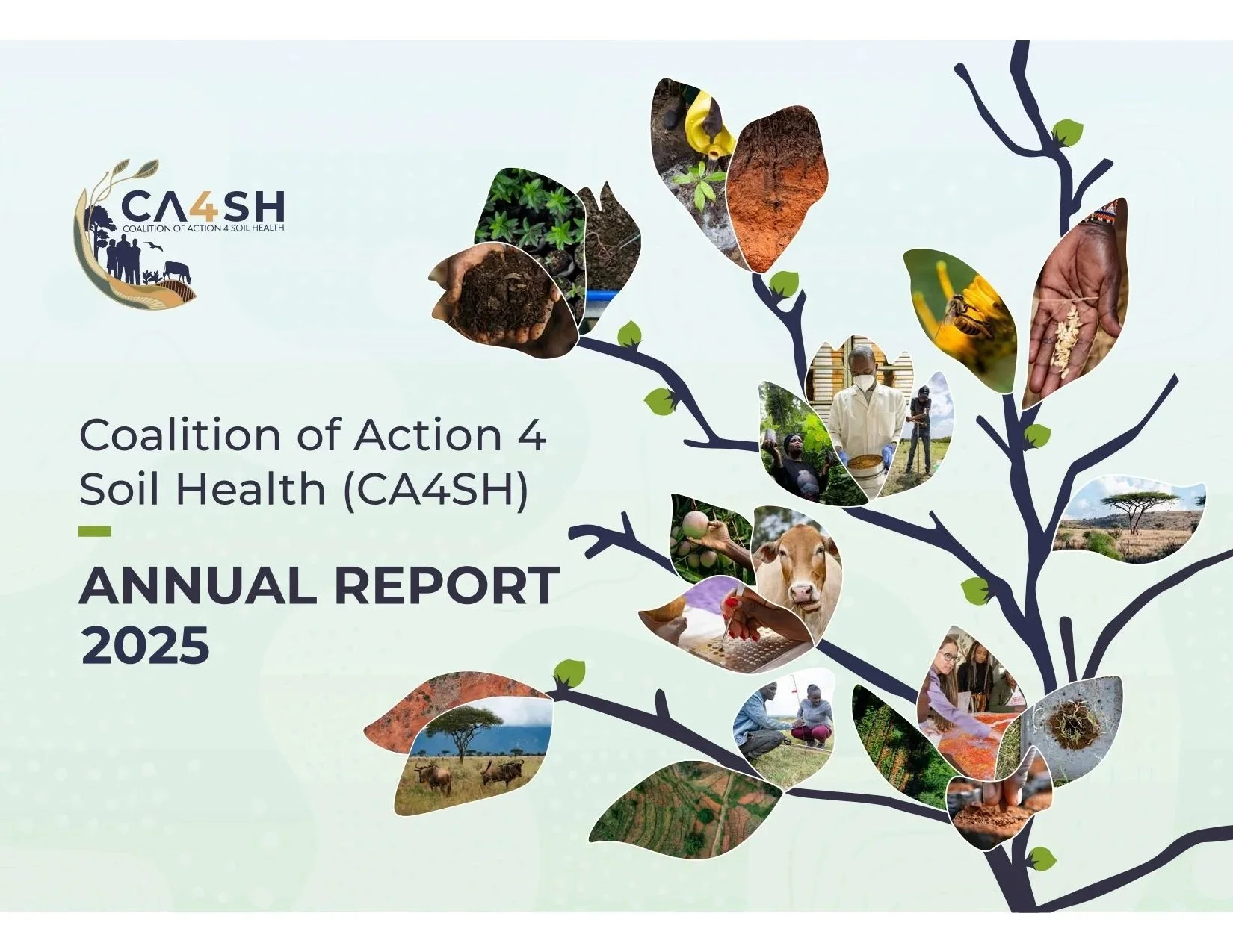 CA4SH 2025 Annual Report