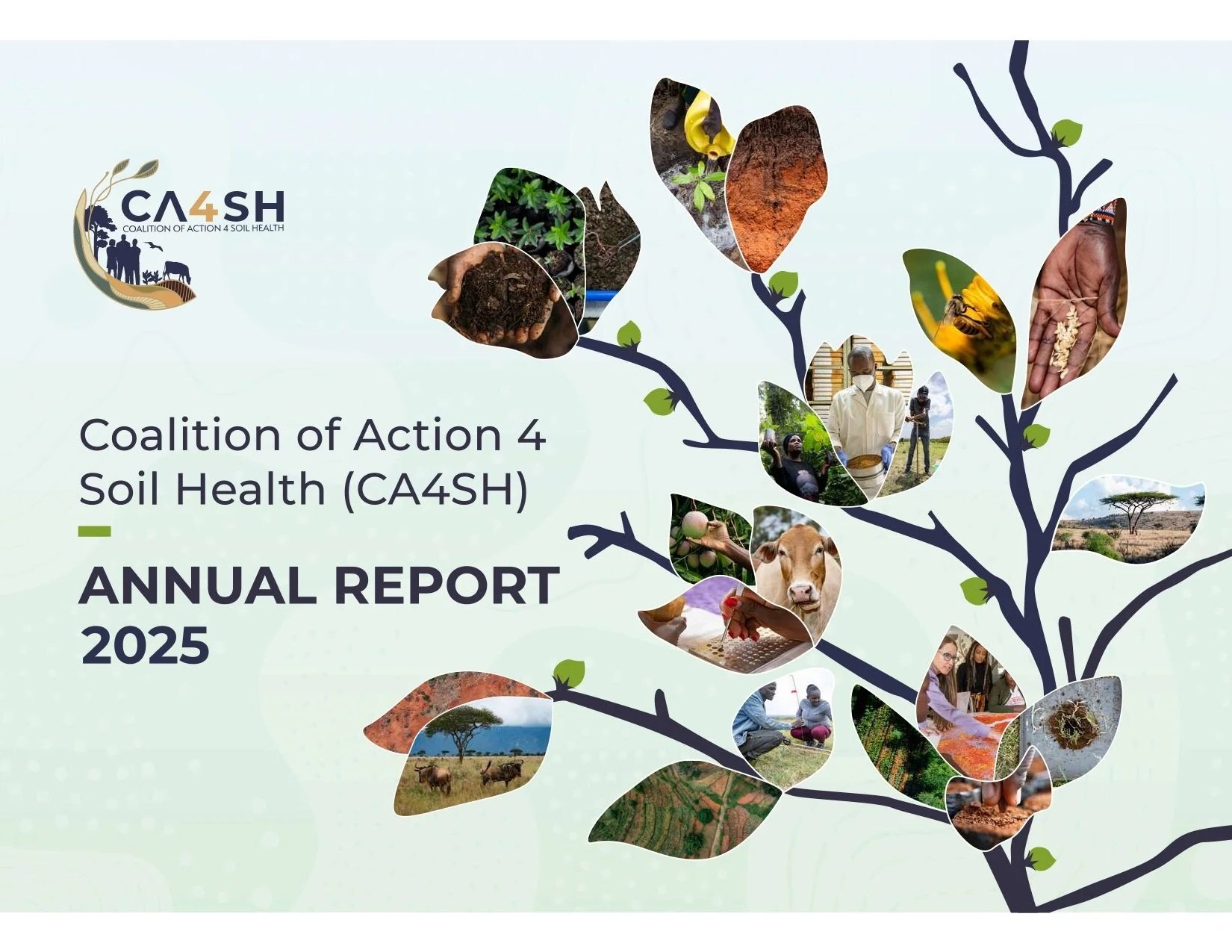 Launching the CA4SH 2025 Annual Report