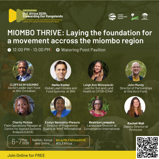 Miombo Thrive: Laying the foundations for a movement that bottom-up restores grasslands, forests and livelihoods across the Miombo region