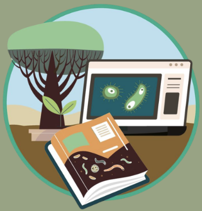 Youth4Soil Implementation Guide: Call for Stories and Examples