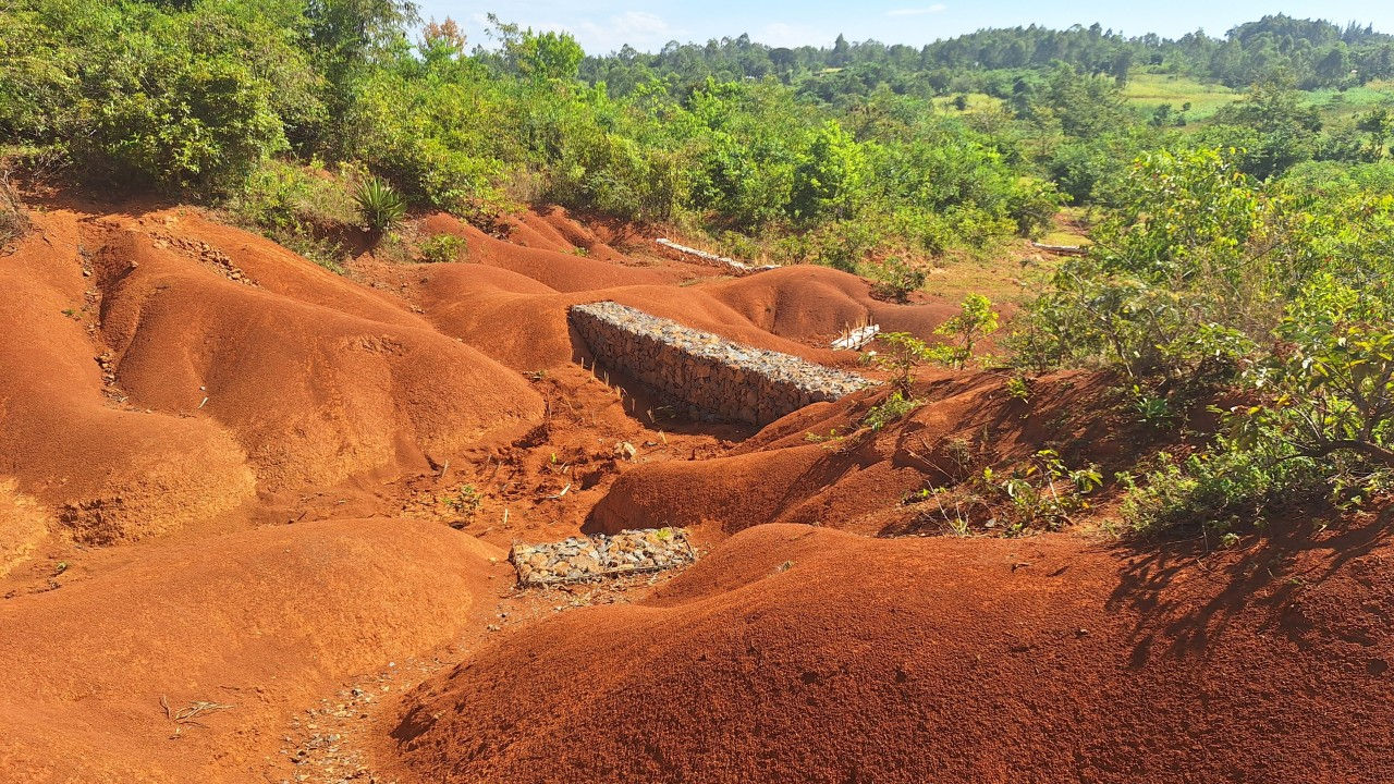 Soil Matters: Turning Carbon into Opportunity