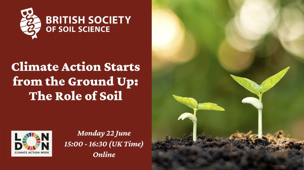 Climate Action Starts from the Ground Up: The Role of Soil