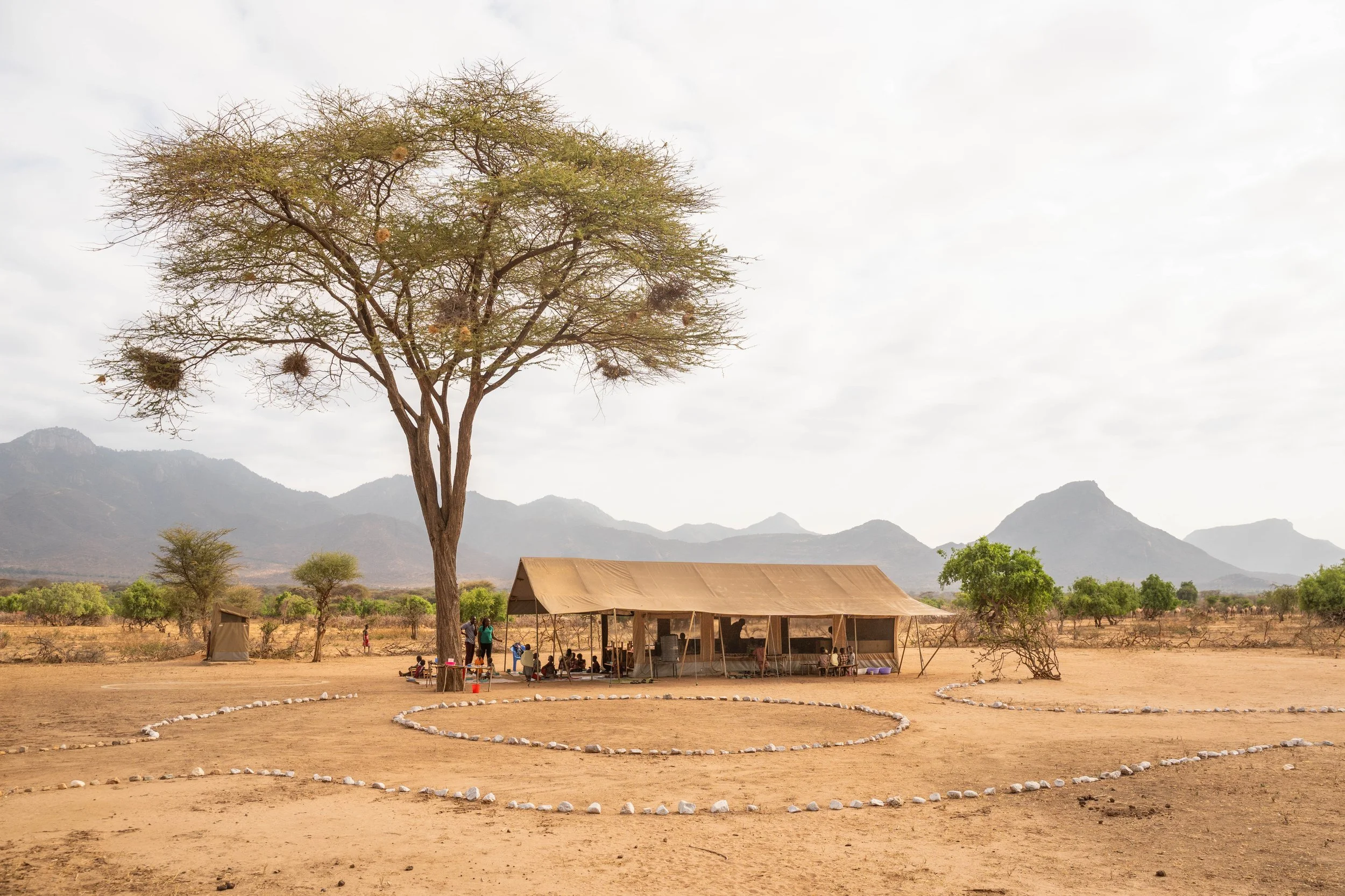 Learning on the Move: How Nomadic Education is Supporting Samburu Communities and Their Rangelands