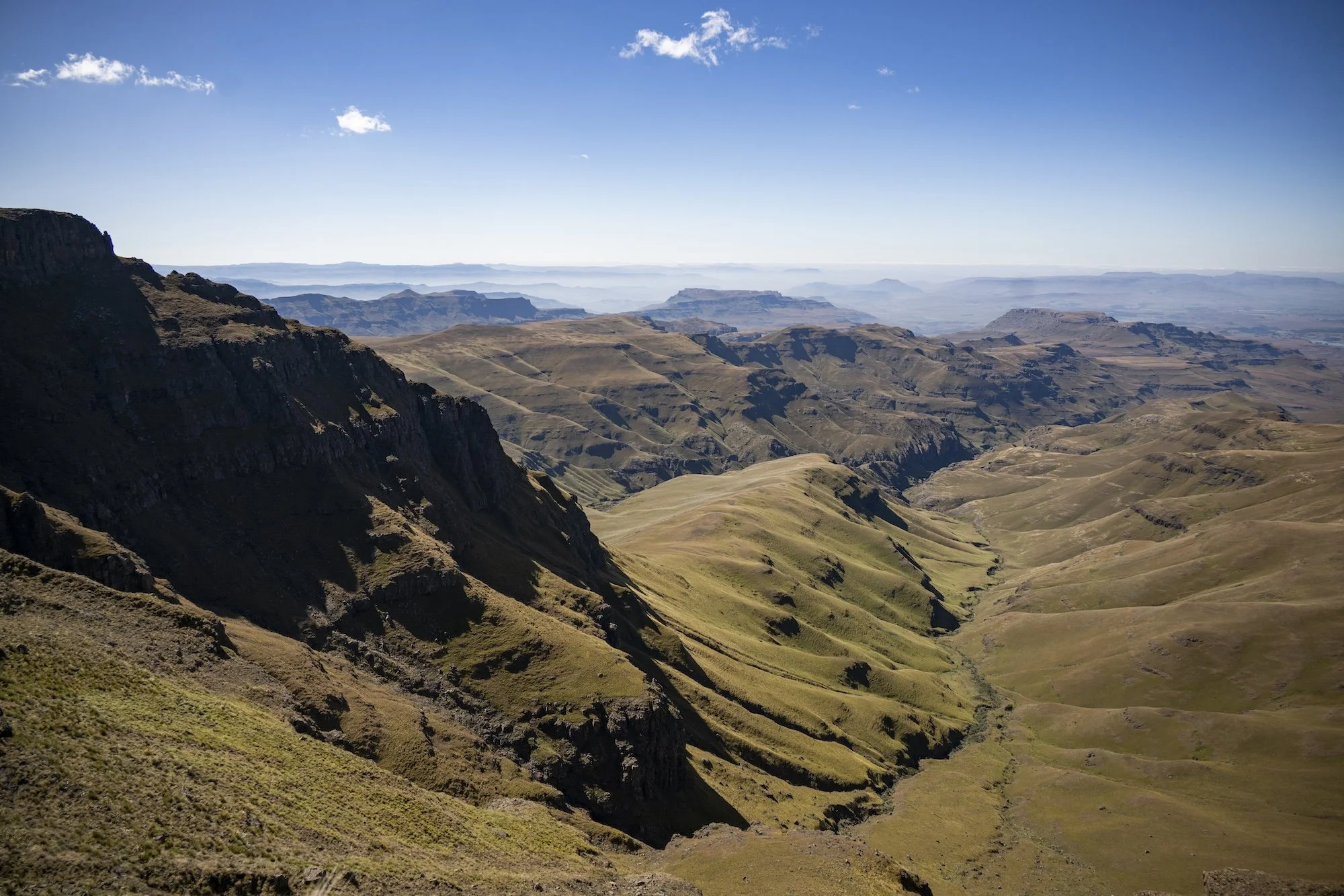 KT_230428_UTD_6164.jpg