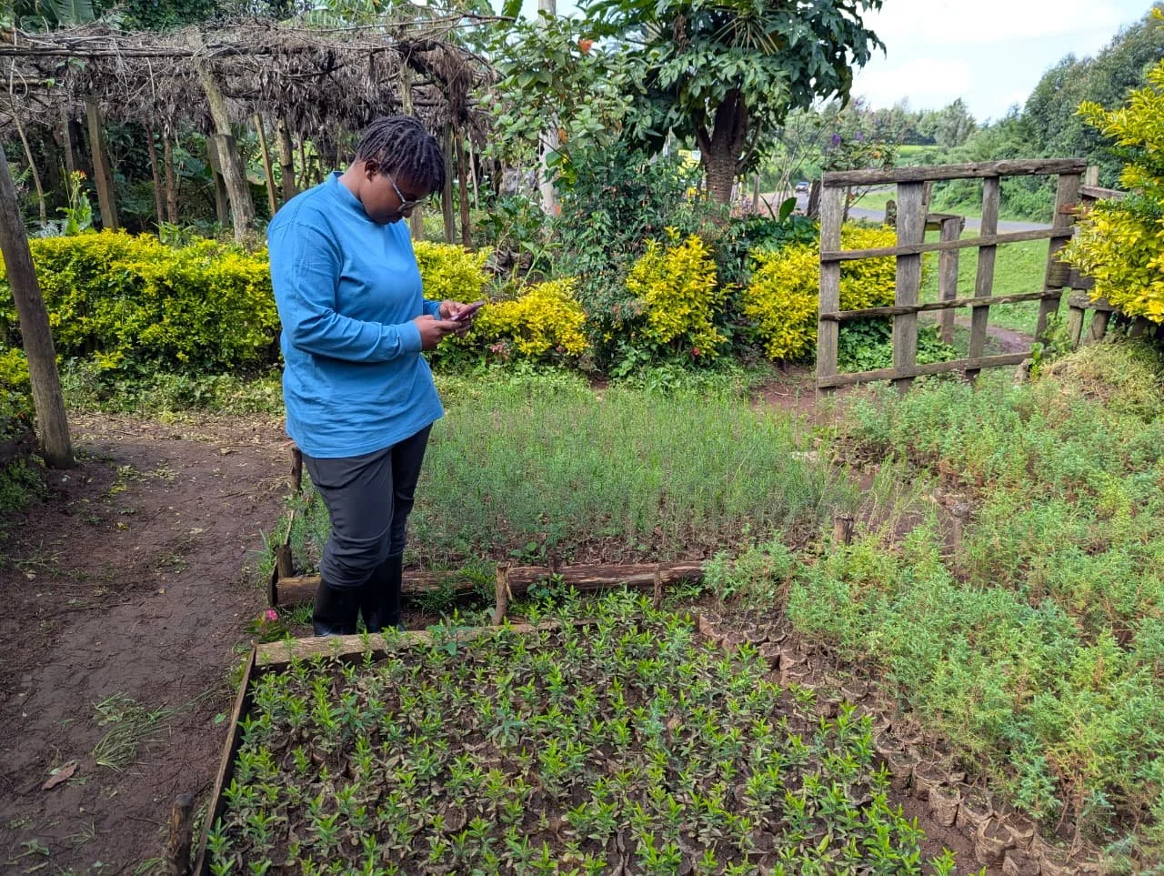 The Lasting Effect of a Data Drive on #Youth4Soil Members in Kenya
