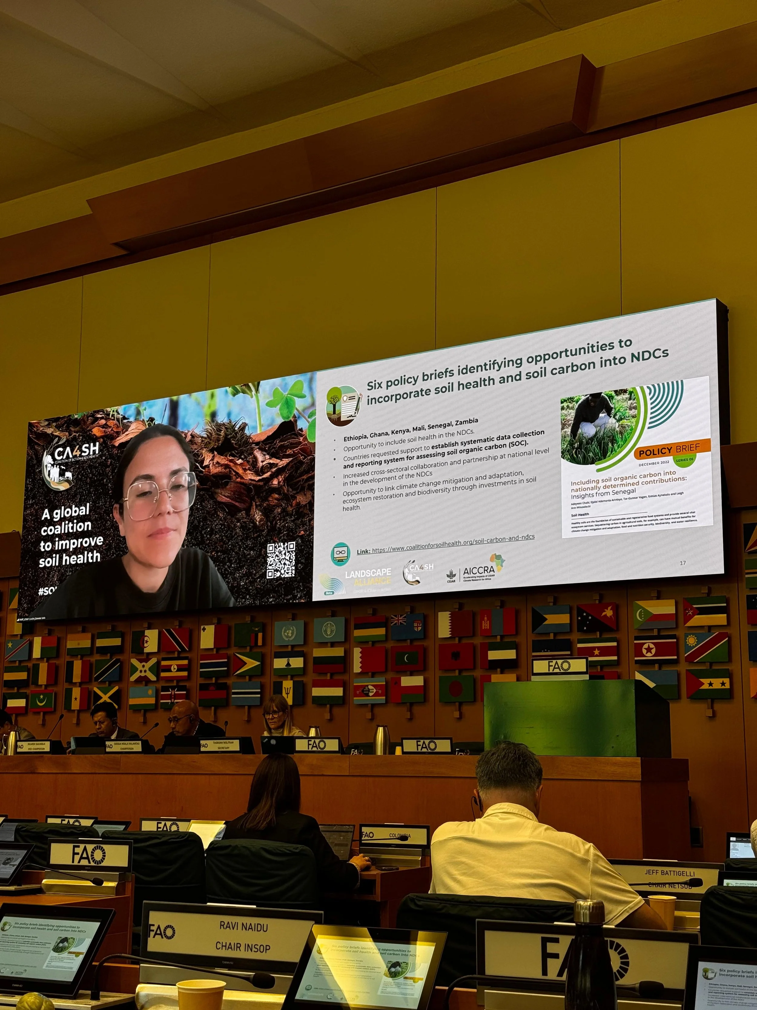 From Data to Decisions: CA4SH Showcases Global Soil Action at the 14th Global Soil Partnership General Assembly