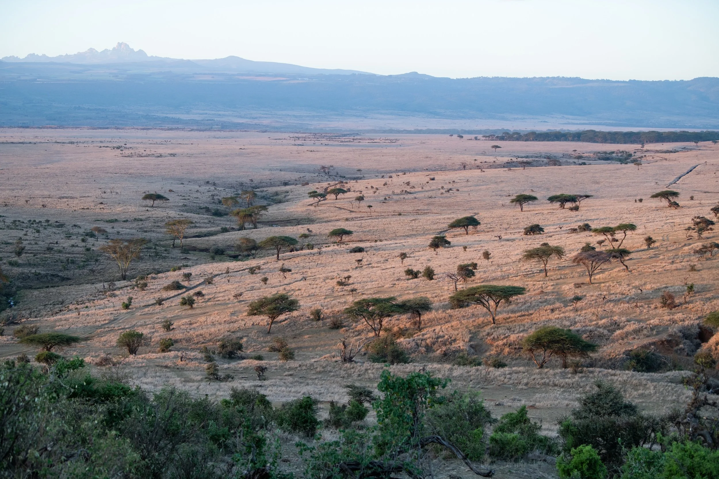 Beyond Soil Health: Learning from Living Rangelands