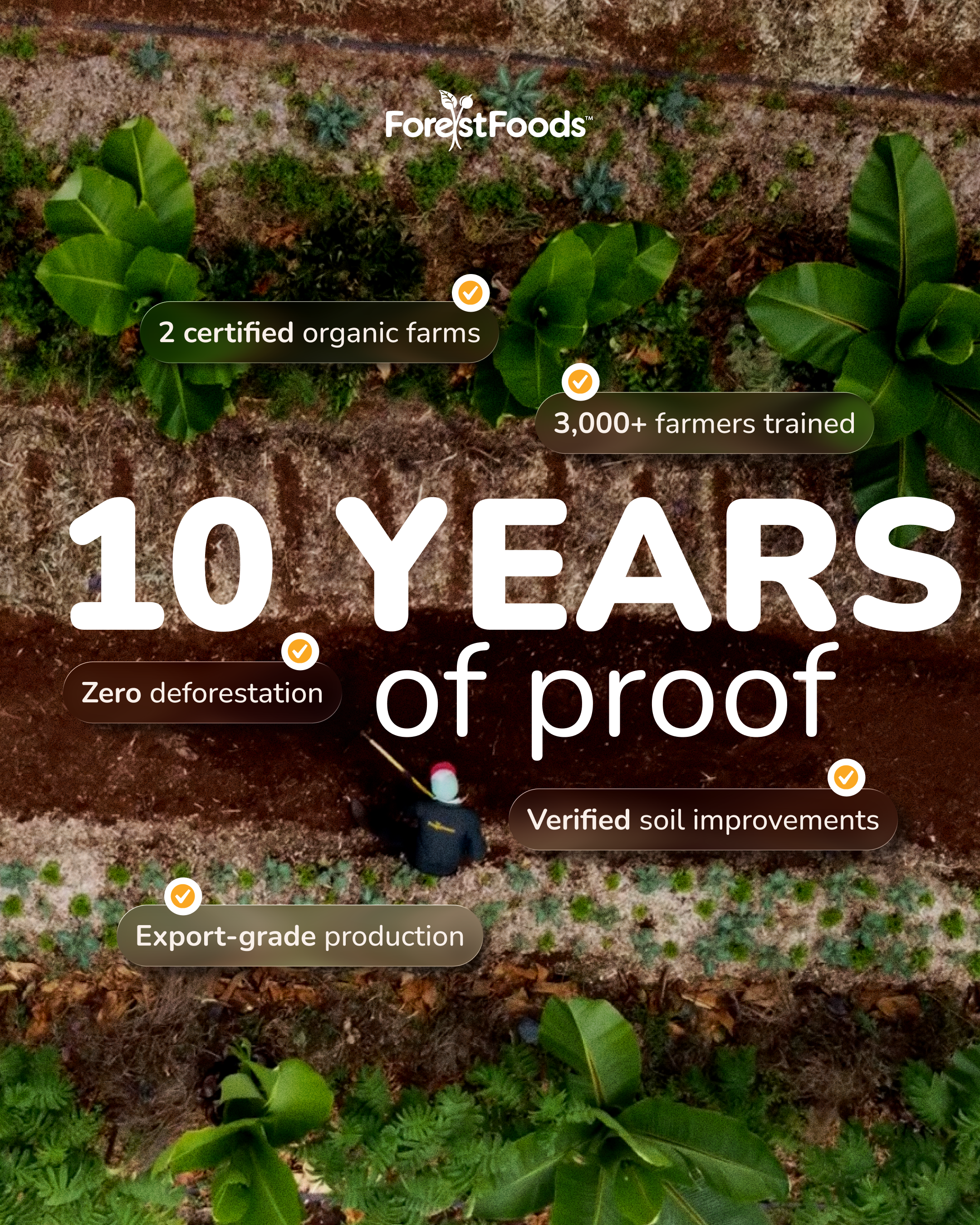 ForestFoods Kenya Indiegogo Launch
