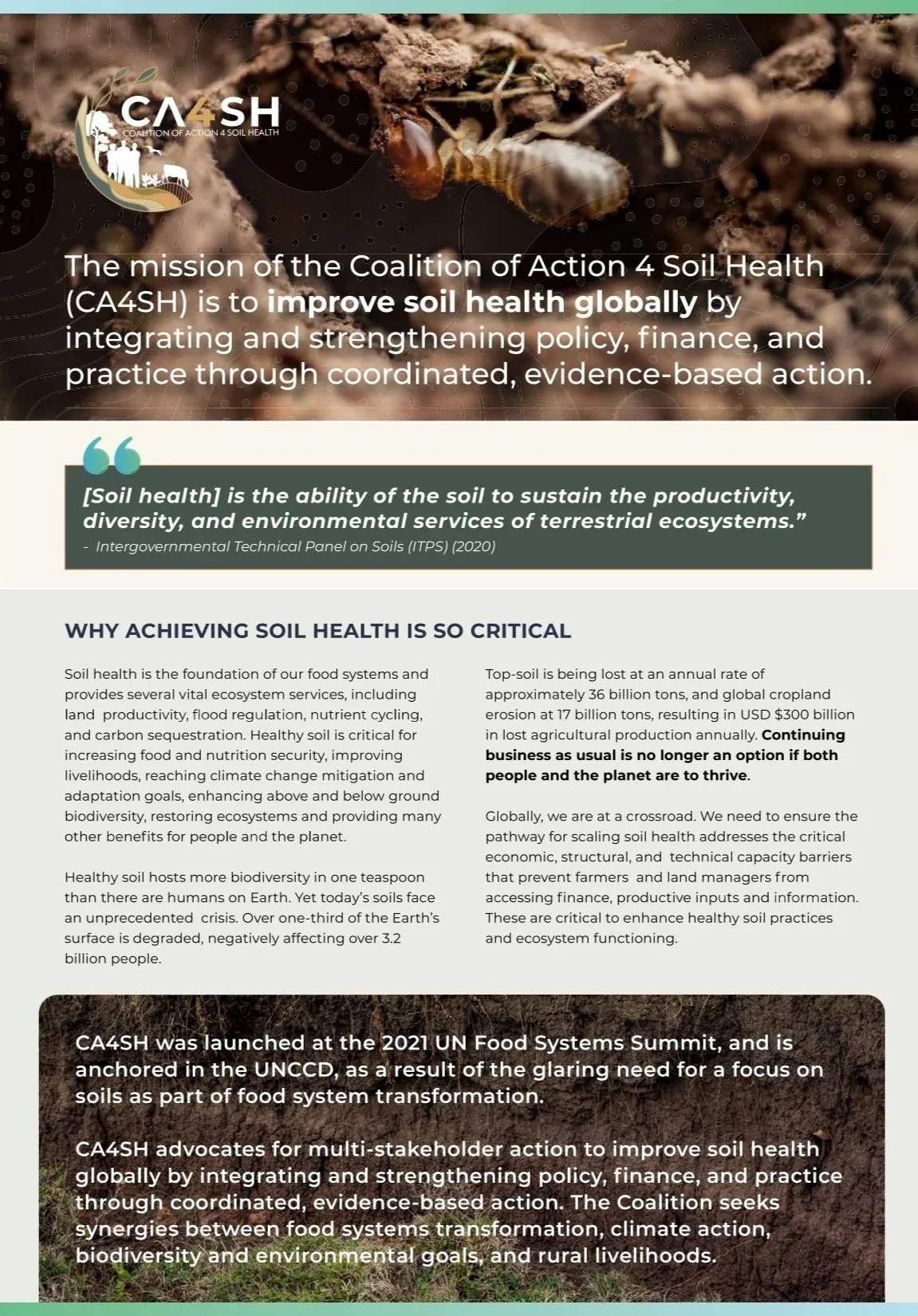 CA4SH Brochure