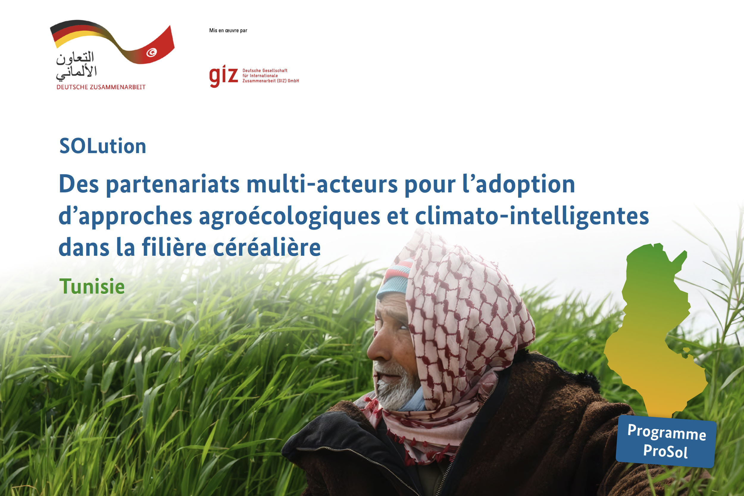 SOLution: Des partenariats multi-acteurs pour l’adoption d’approches agroécologiques et climato-intelligentes dans la filière céréalière -&nbsp;Tunisie