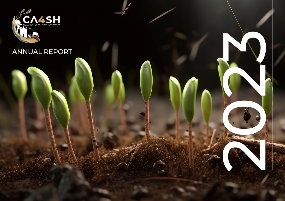 CA4SH+Annual+Report+2023_18_03_24.png