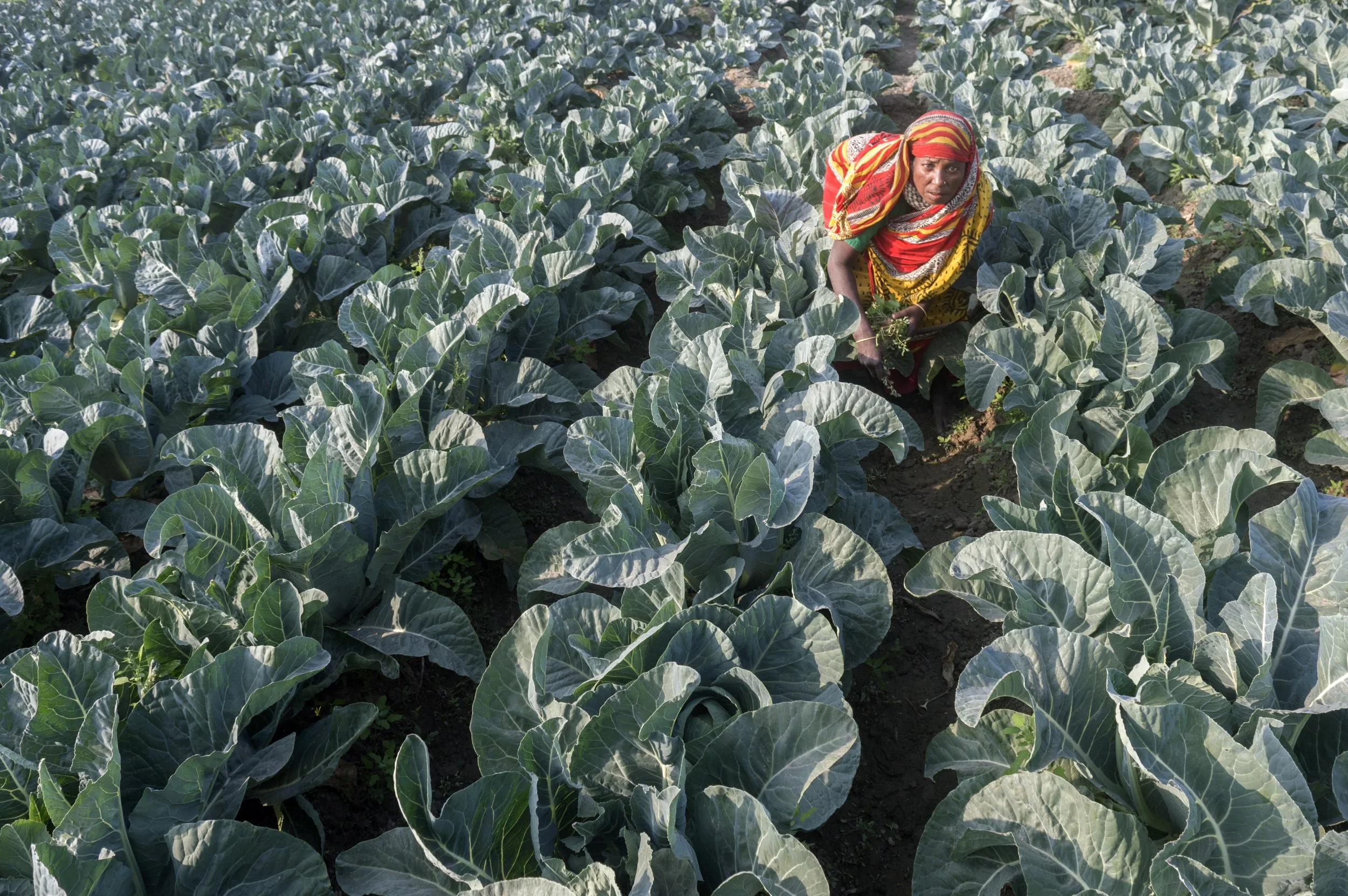 02_Nurturing Soil, Growing Tomorrow.jpg
