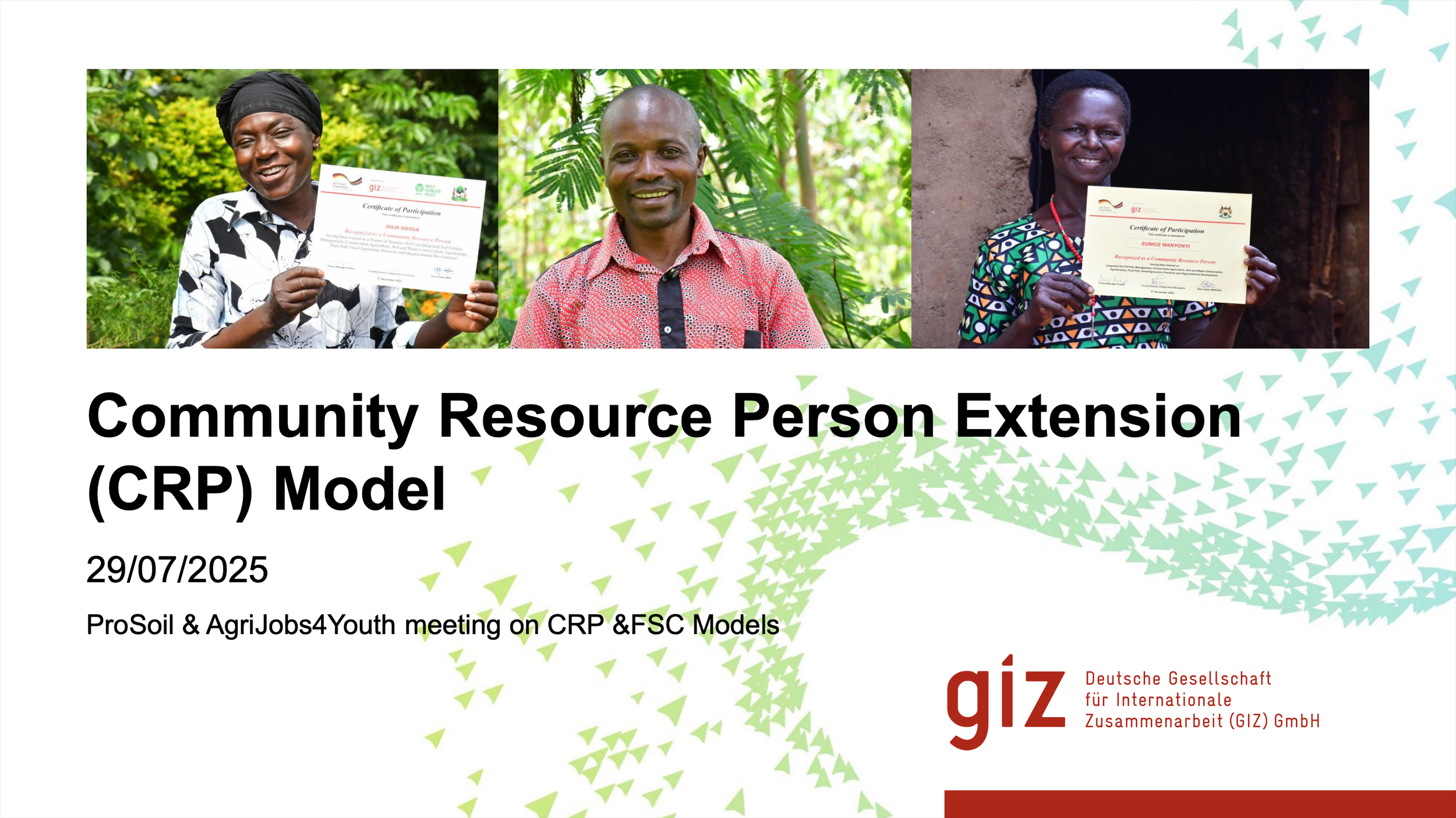 Community Resource Person Extension(CRP) Model