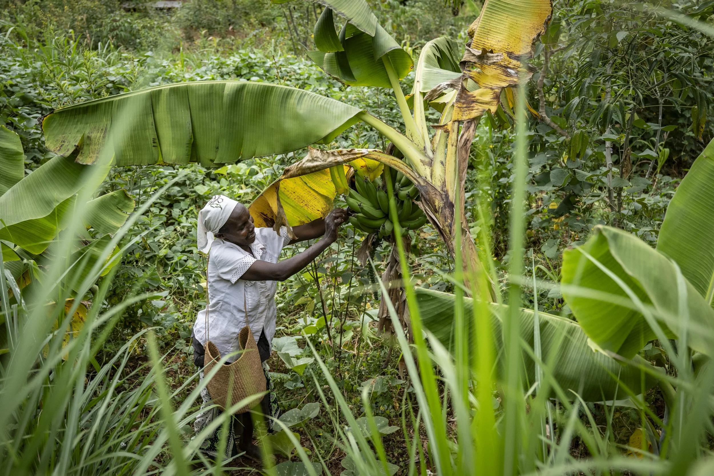 OP-ED | Cover crops can pay, but we are asking the wrong question