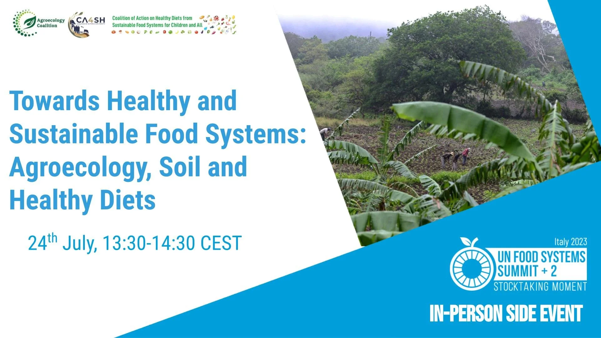 Unfss Food systems coalitions and stakeholders convened at the UNFSS STM+2 in ...