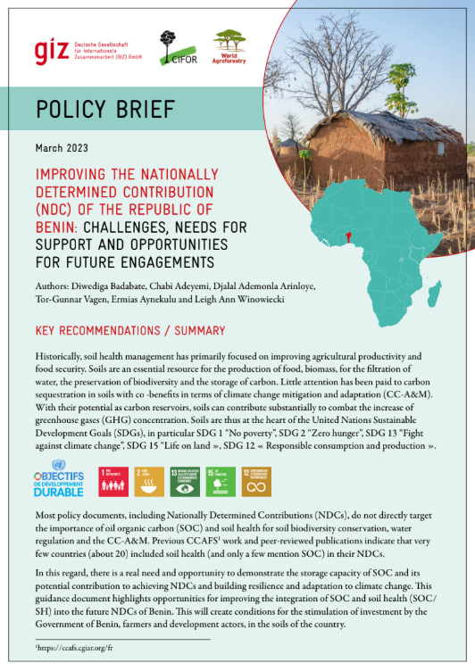 Improving the Nationally Determined Contribution of the Republic of ...