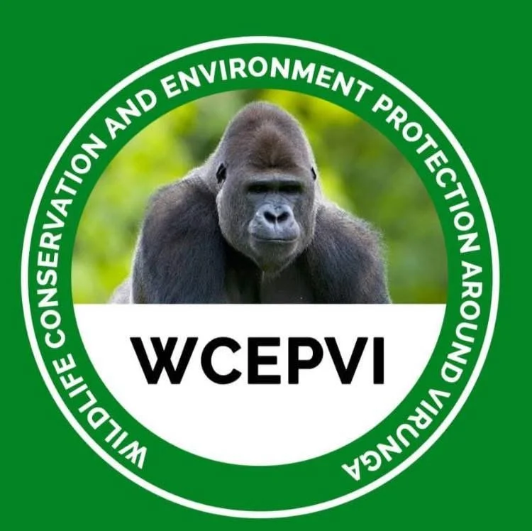 Wildlife Conservation and Environmental Protection Around Kirunga