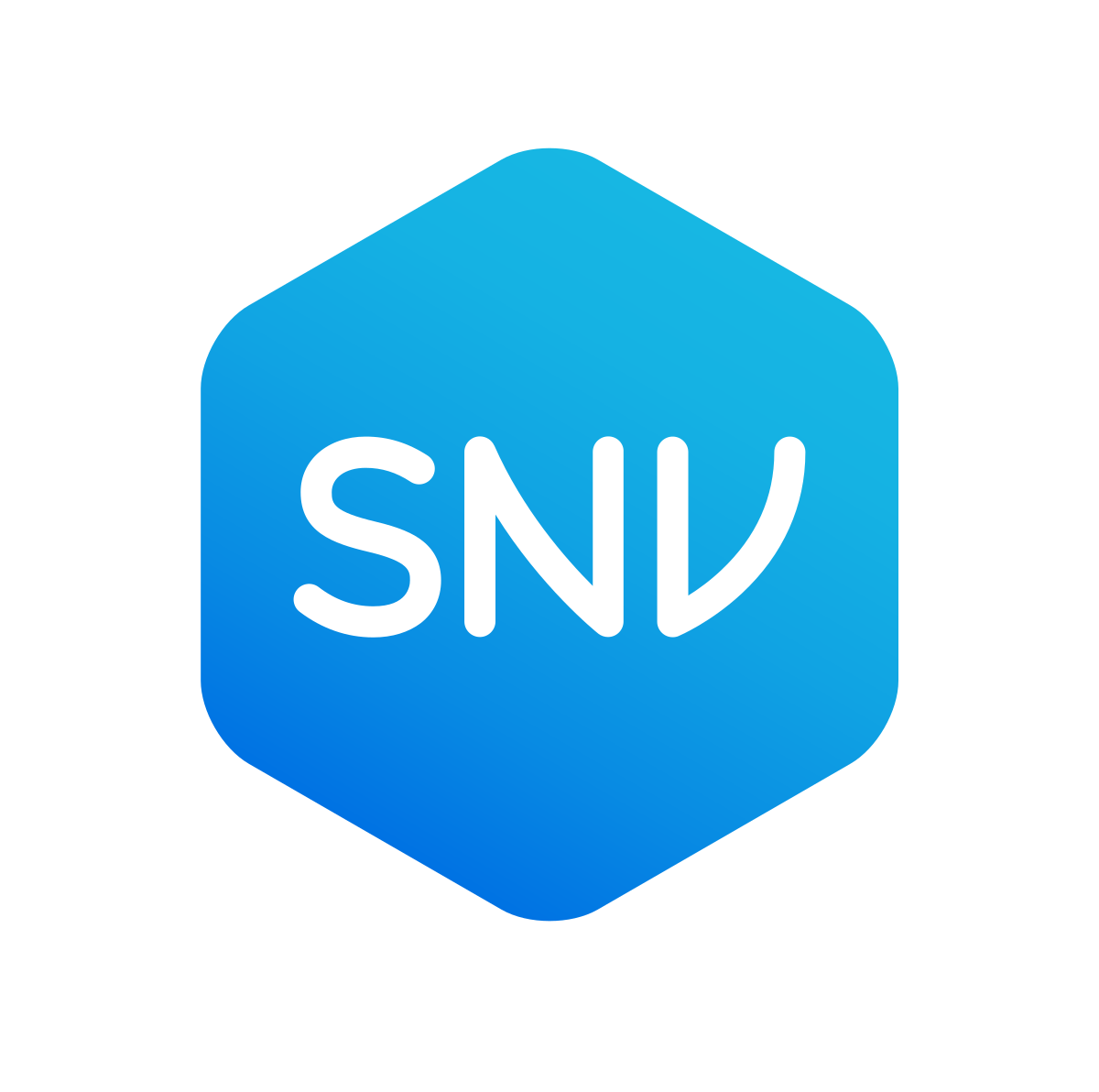 SNV_logo.svg.png
