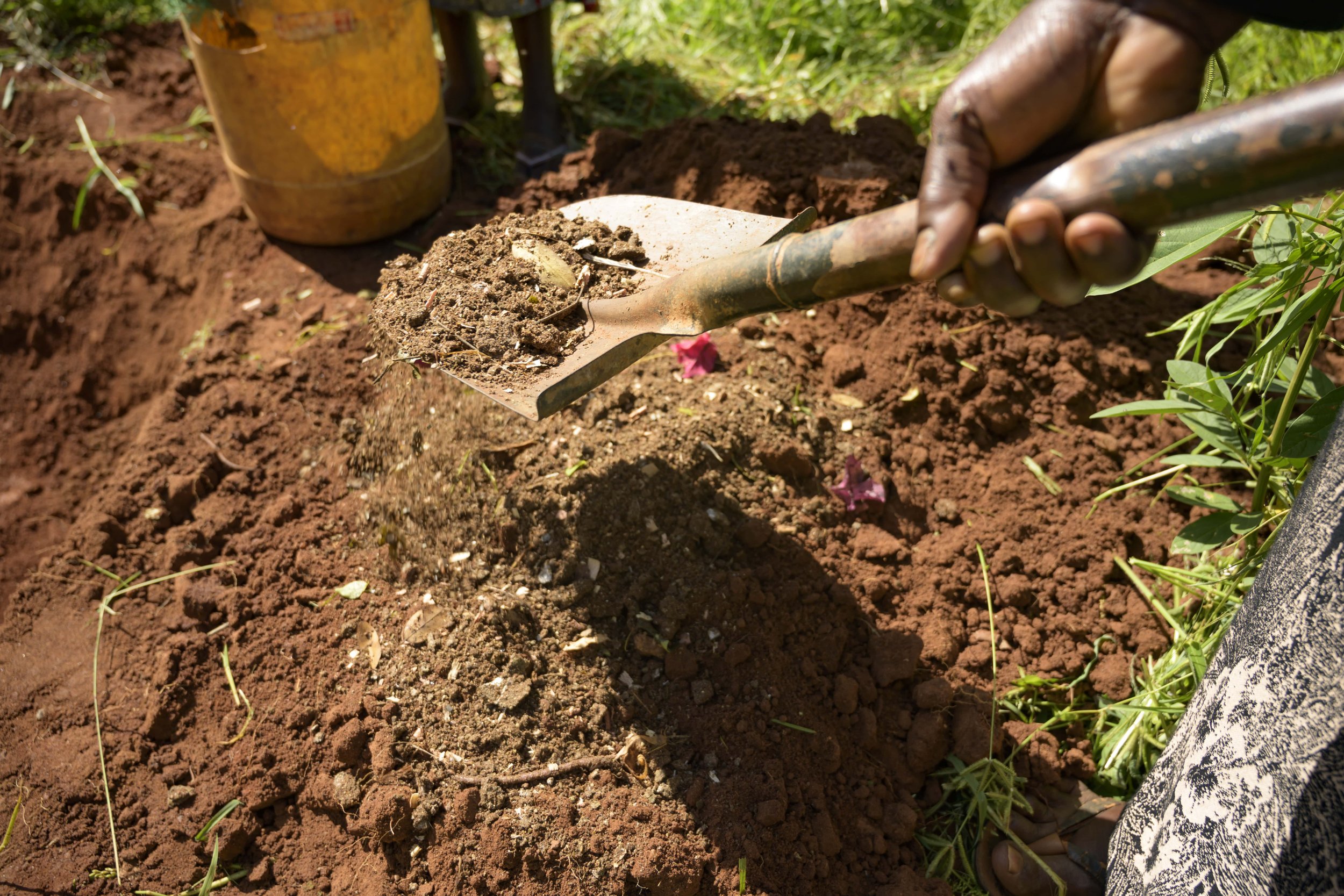 Coalition Of Action For Soil Health