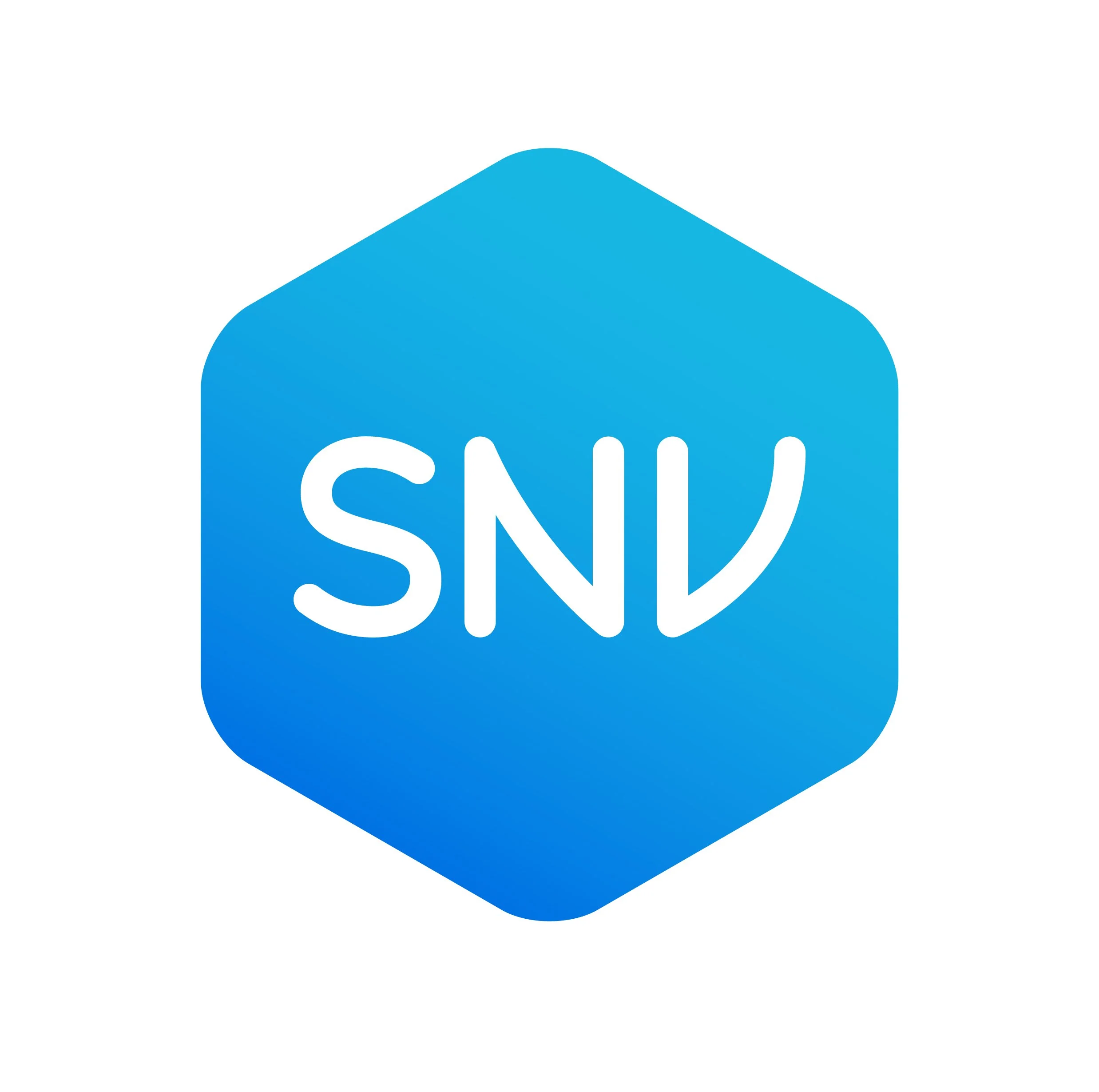SNV Netherlands Development Organisation