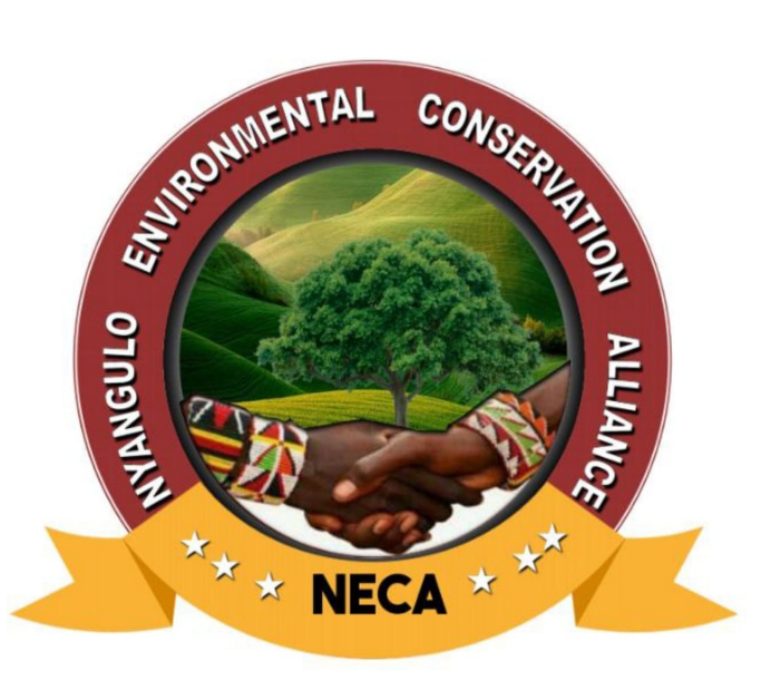 NYANGULO ENVIRONMENTAL CONSERVATION ALLIANCE 