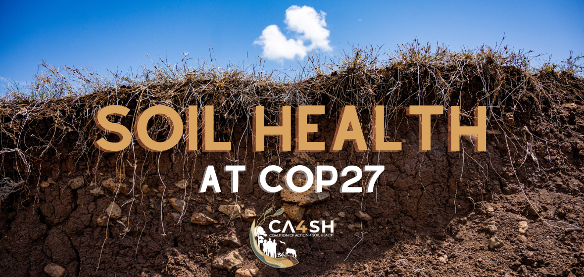 CA4SH is co-hosting the Food Systems Pavilion at the UNFCCC COP27 ...