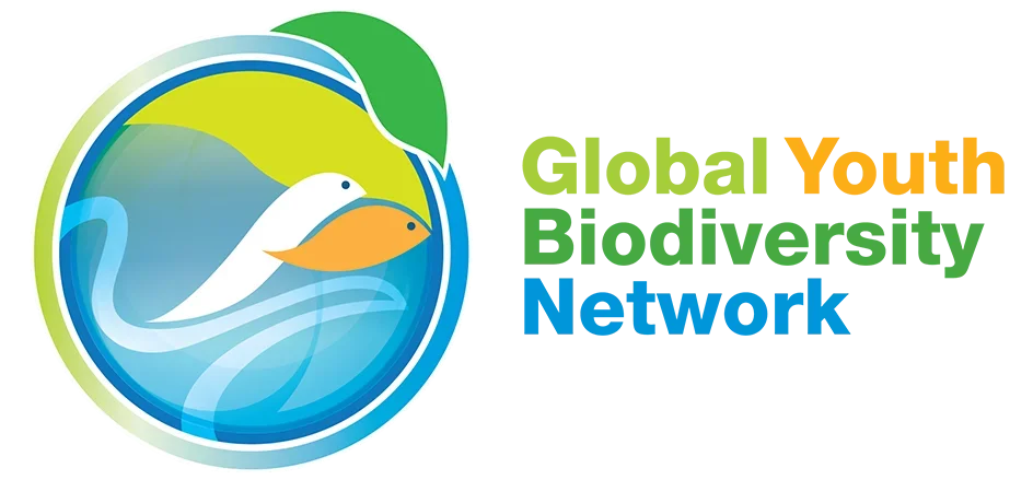 cropped-GYBN-Logo-Color-Horizontal-no-border.webp