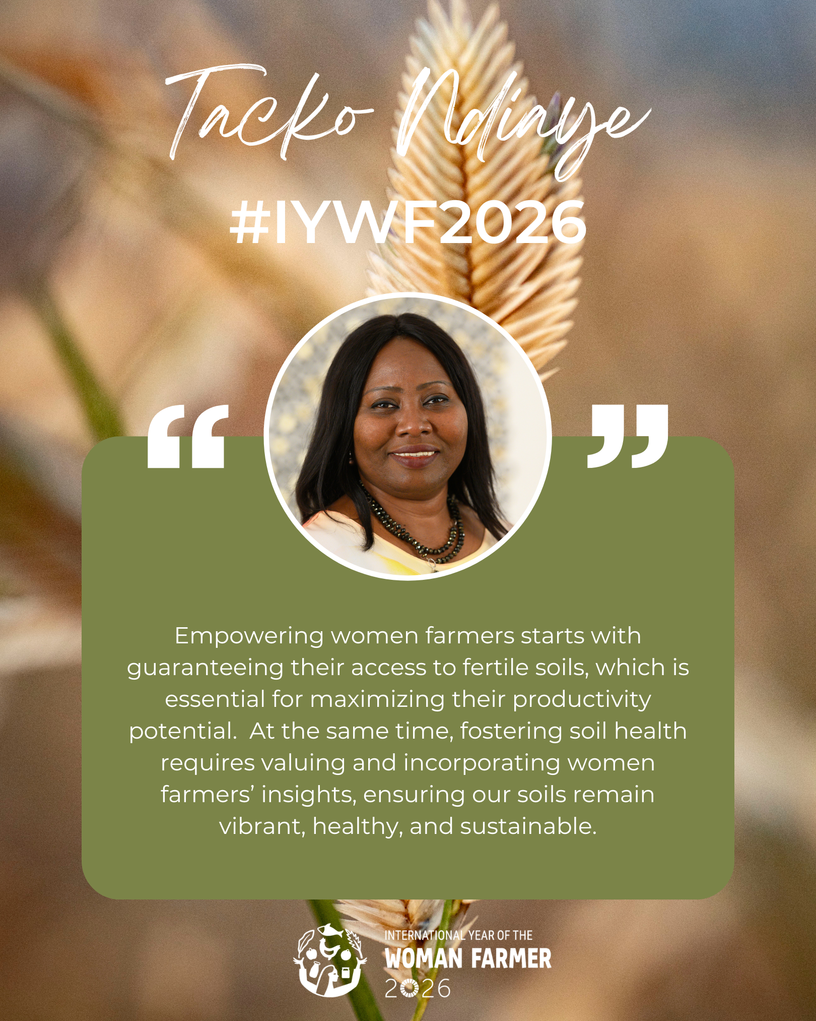 Tacko Ndiaye Quote.png