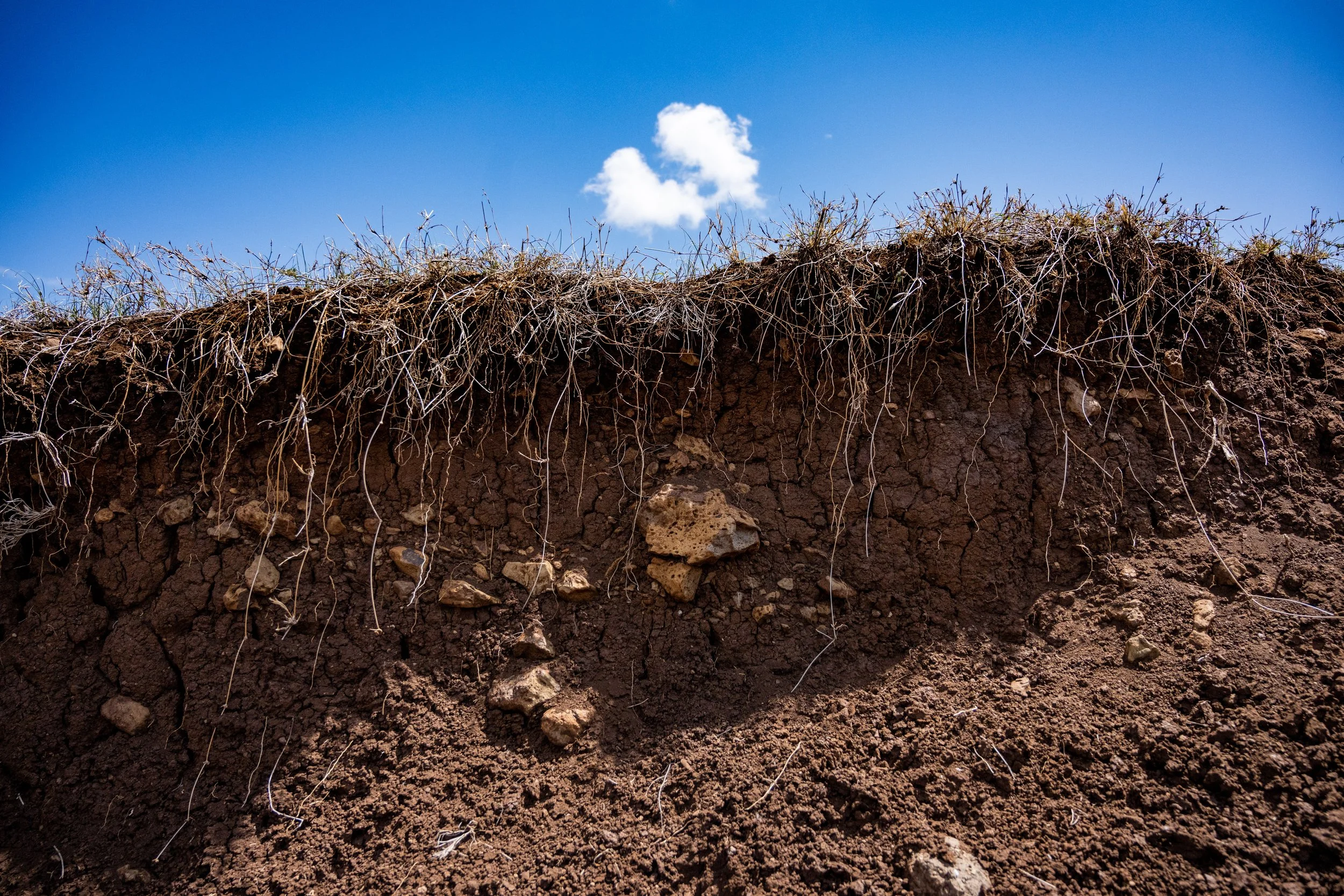CA4SH | Working Groups — Coalition of Action for Soil Health