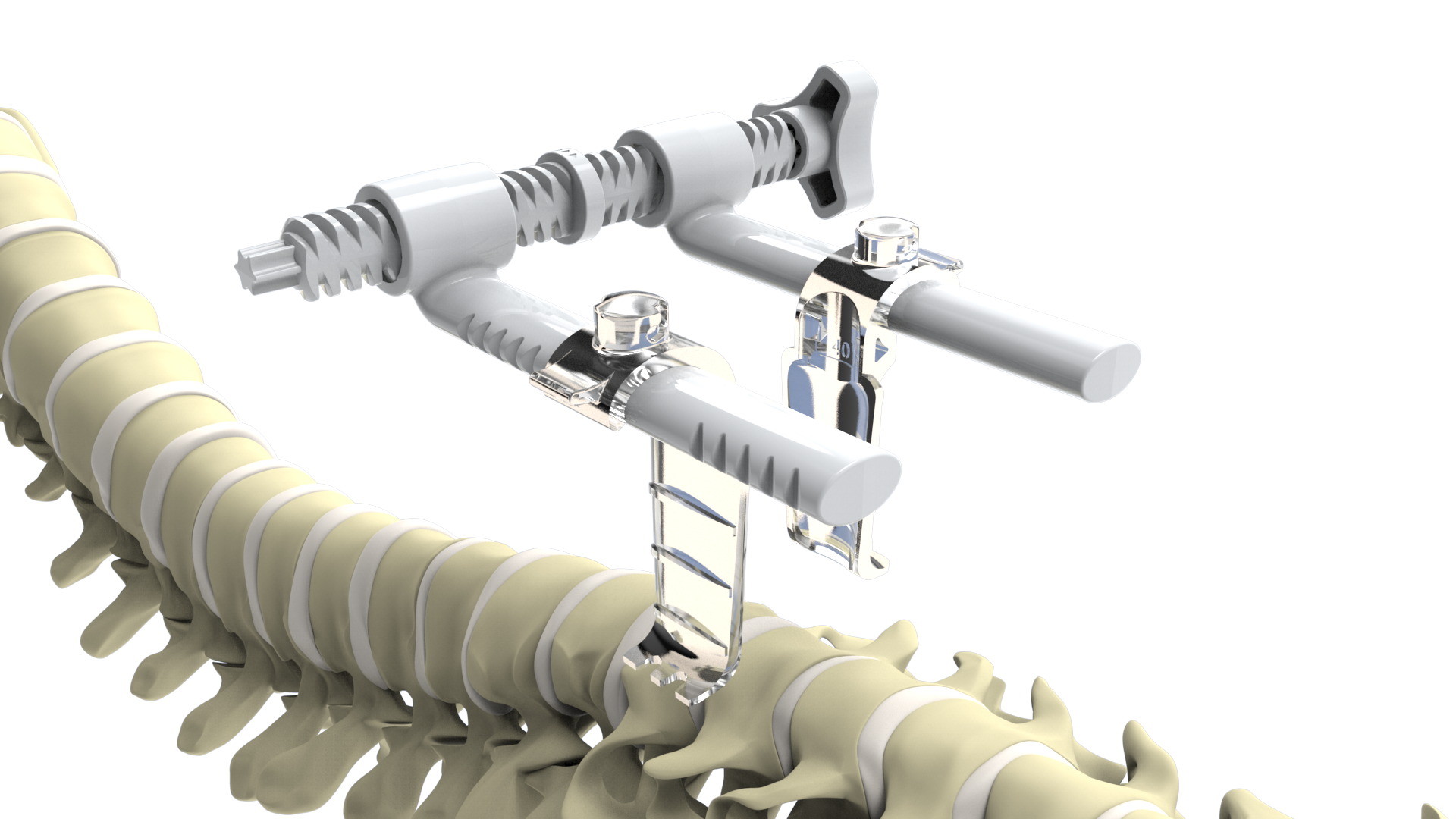 Cervical System.182.png