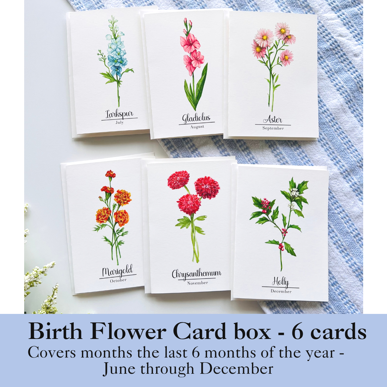 BMF+flower+box+set+-+last+6+months.png