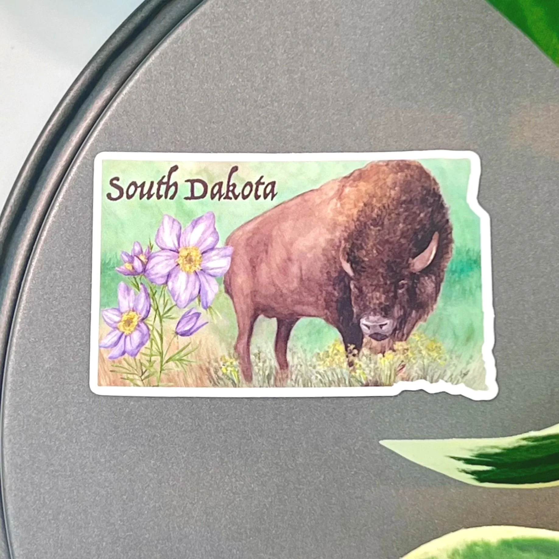 Watercolor Bison and Pasque flower magnet