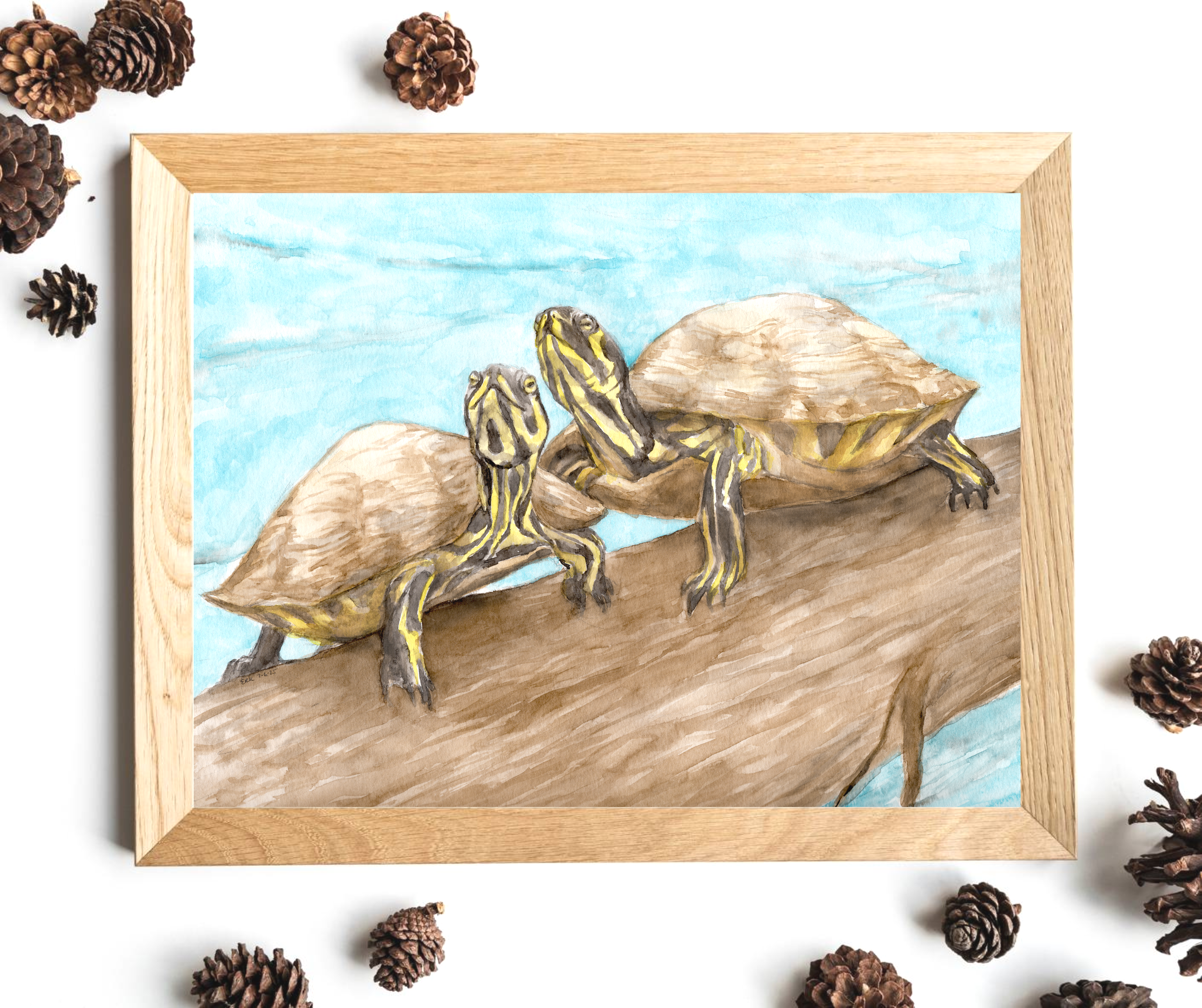 Watercolor Turtles Art Print