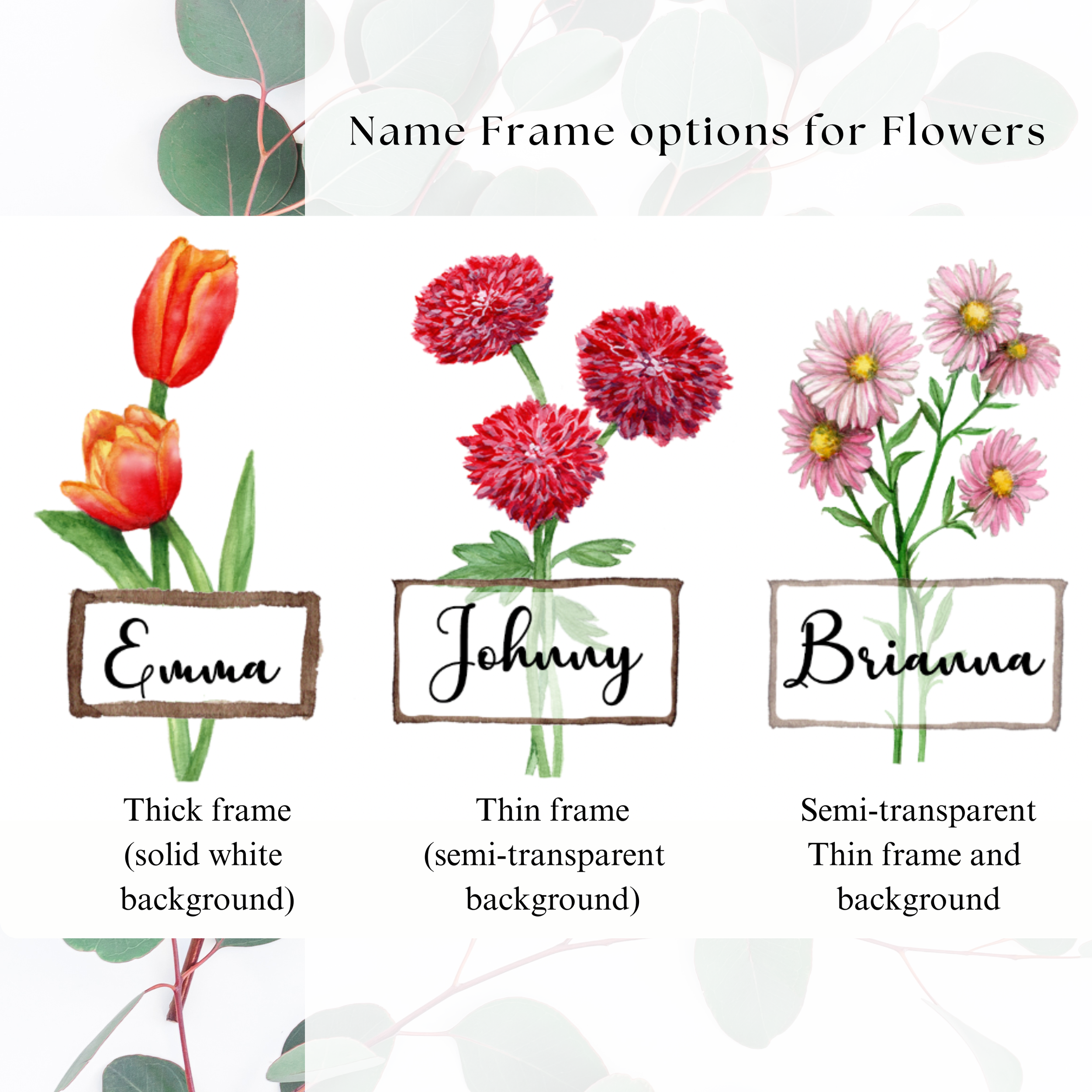 Frame choices for names that go with your flowers in the Watercolor Birth Flower Commission