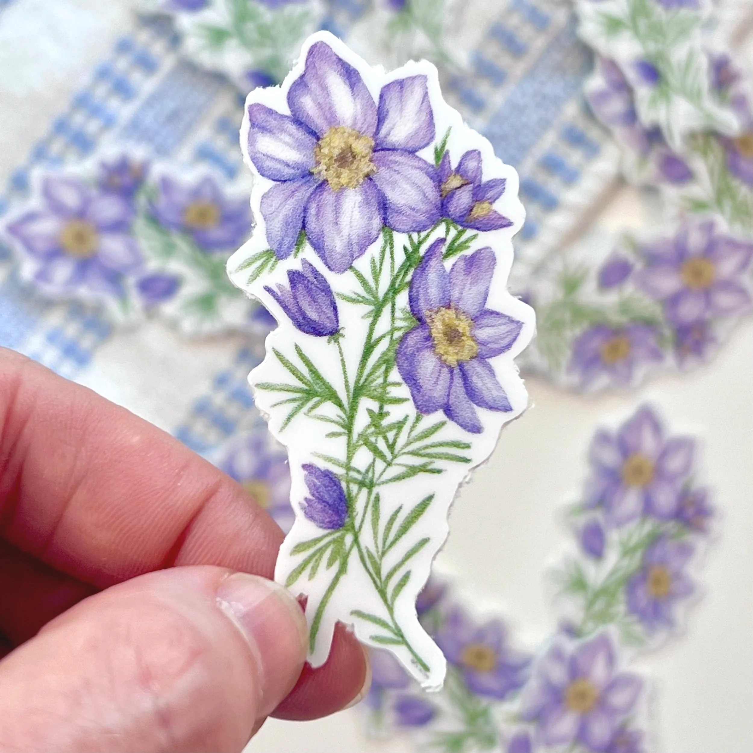 Watercolor Pasque Flower sticker