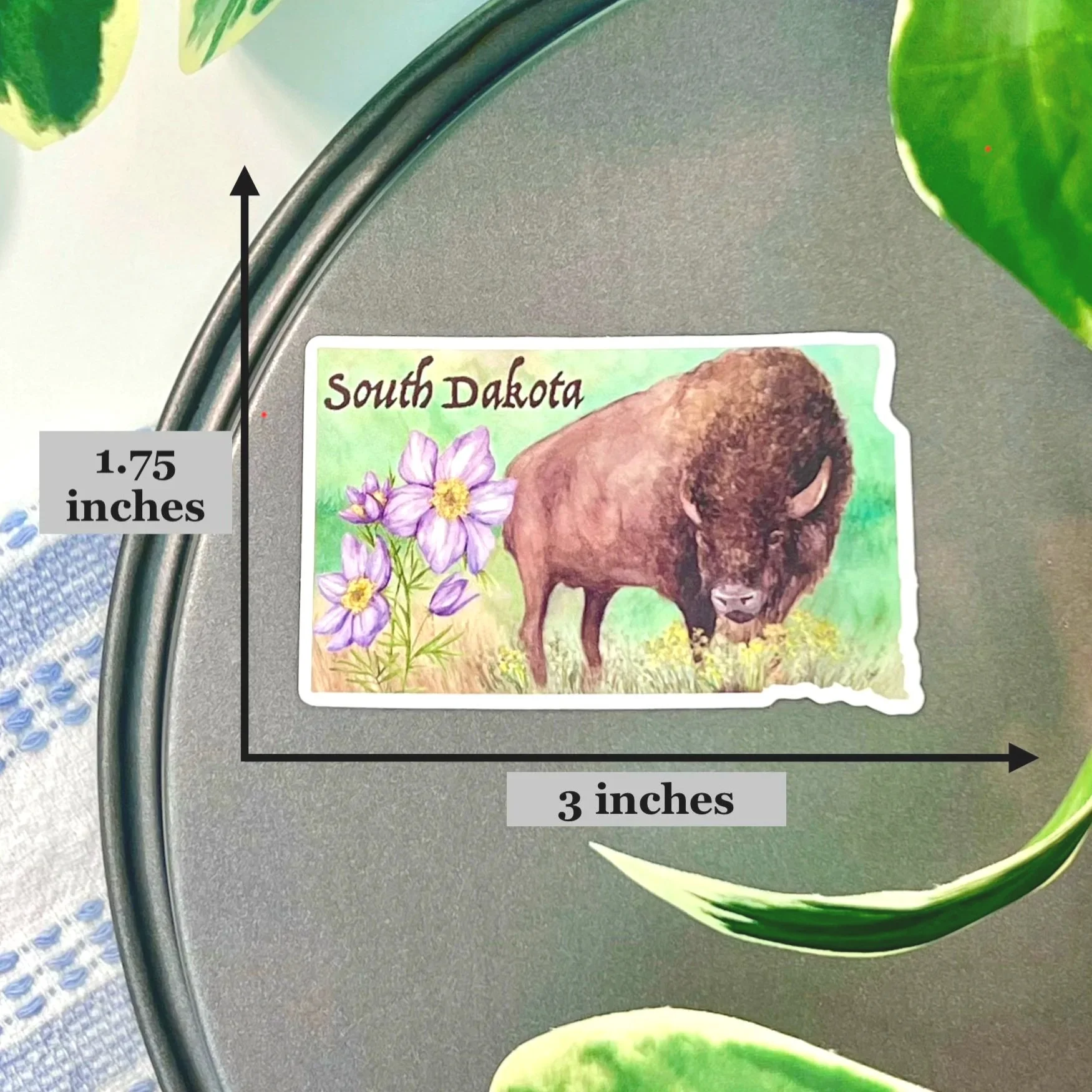 Watercolor Buffalo and Pasque flower magnet - measuring 1.75 X 3 inches