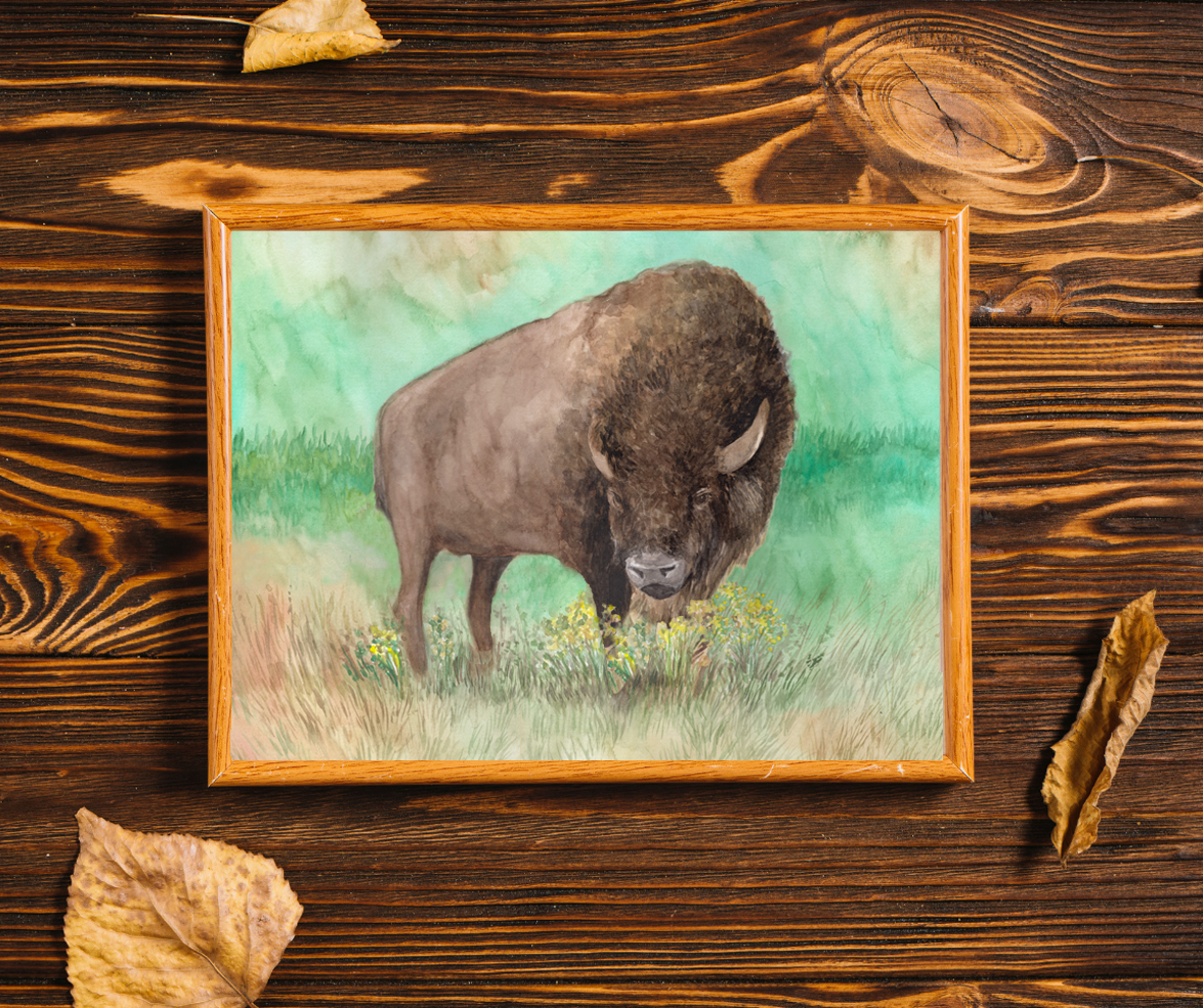 Watercolor Buffalo Art Print and Poster Print